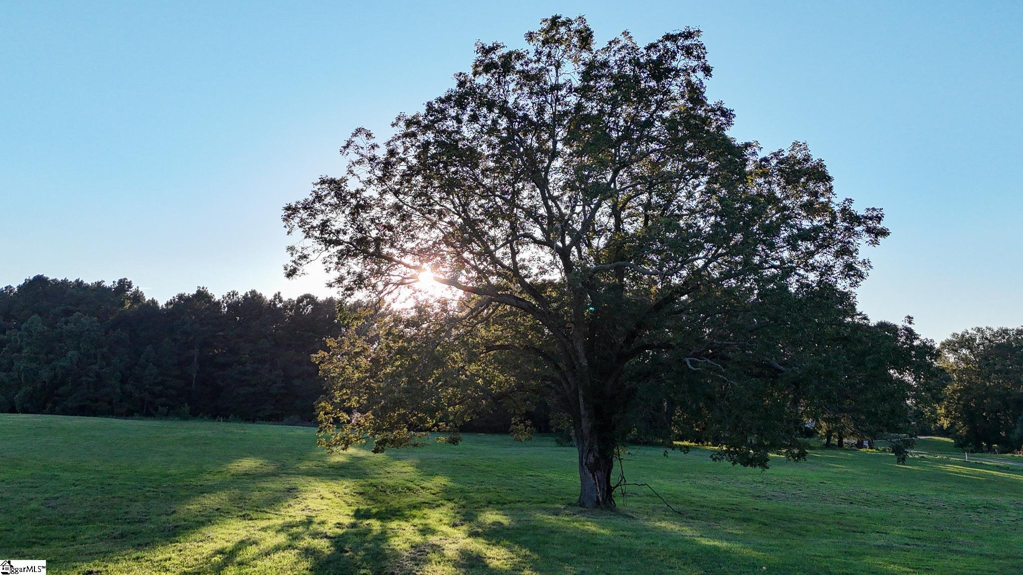 3728 Fork Shoals Road Simpsonville, SC 29680