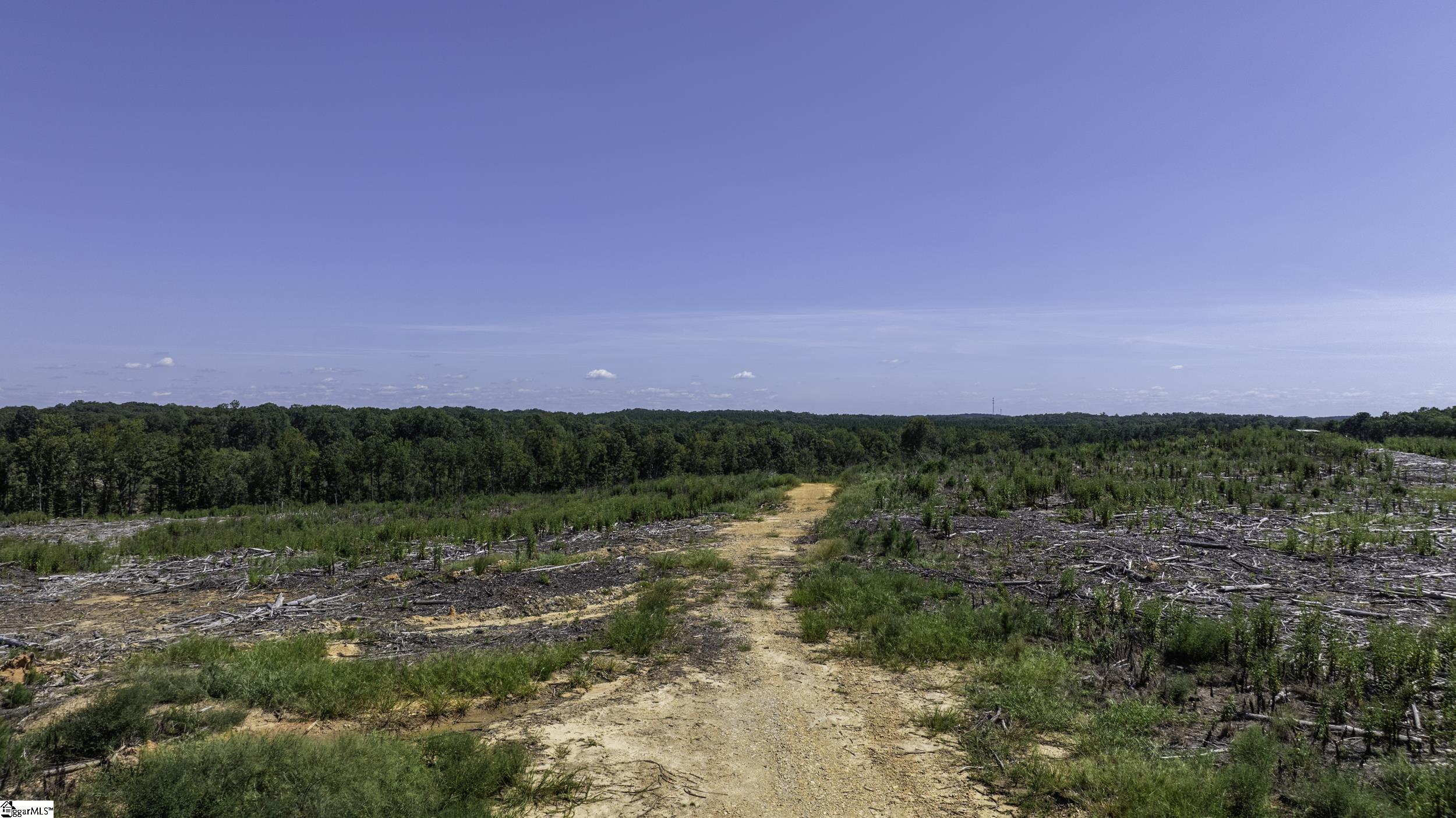 00 Cowens Bridge Road Gray Court, SC 29645