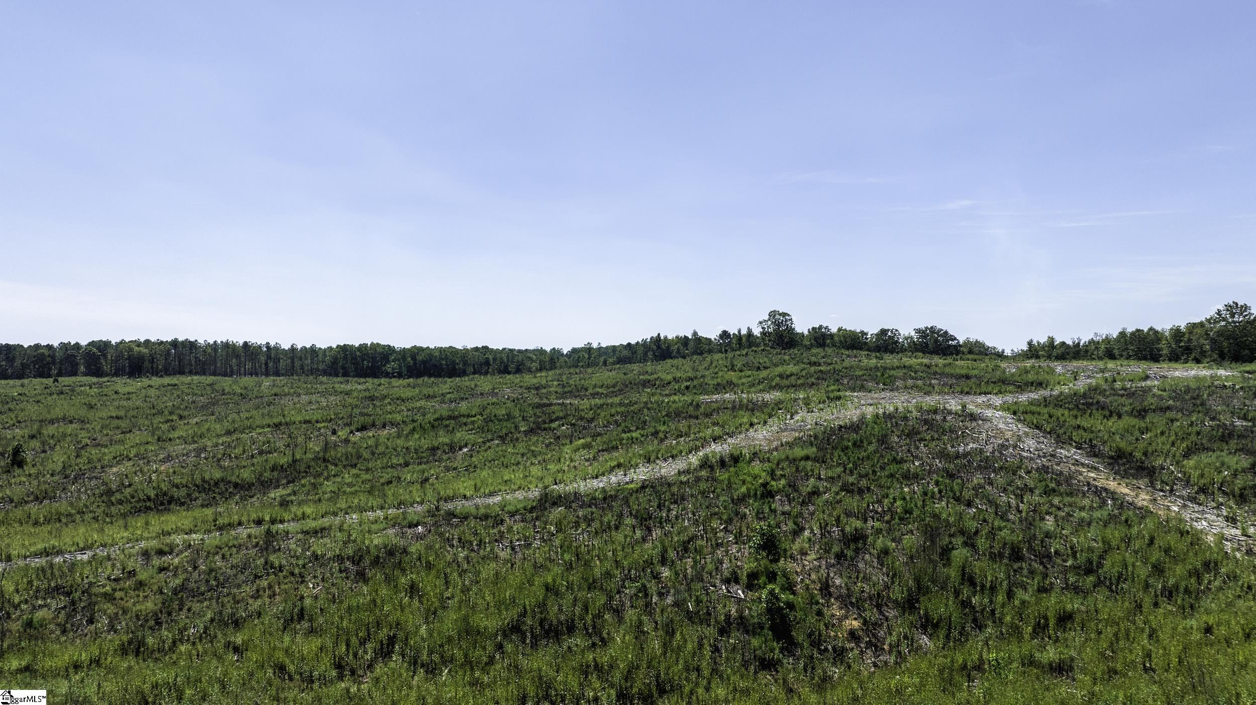 00 Cowens Bridge Road Gray Court, SC 29645