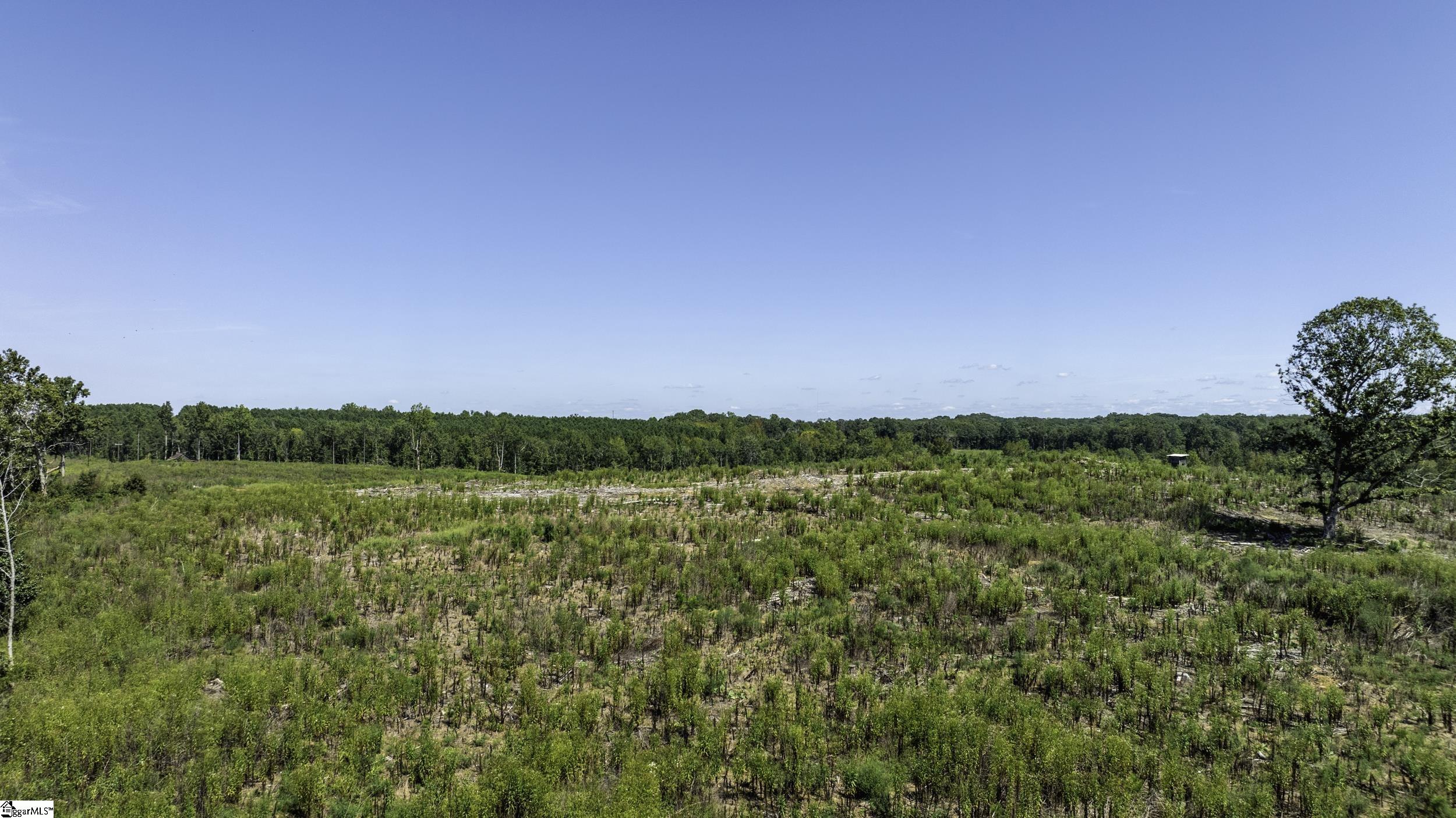 00 Cowens Bridge Road Gray Court, SC 29645