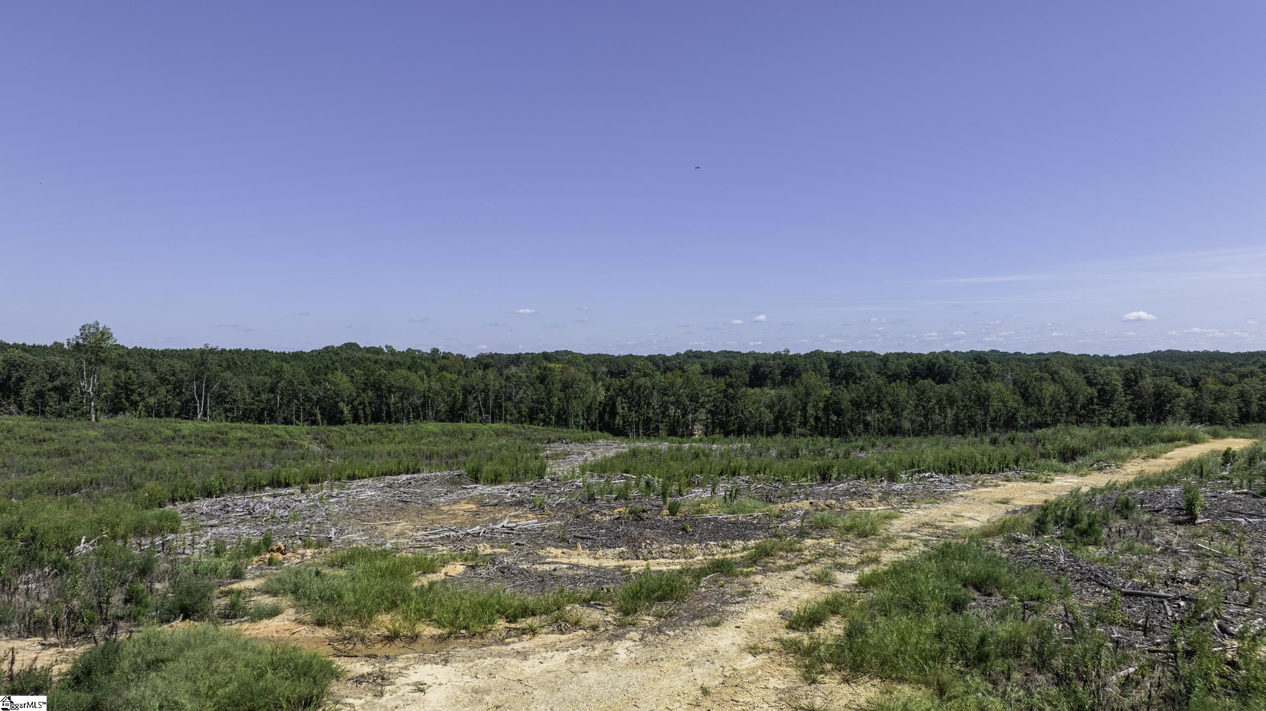 00 Cowens Bridge Road Gray Court, SC 29645