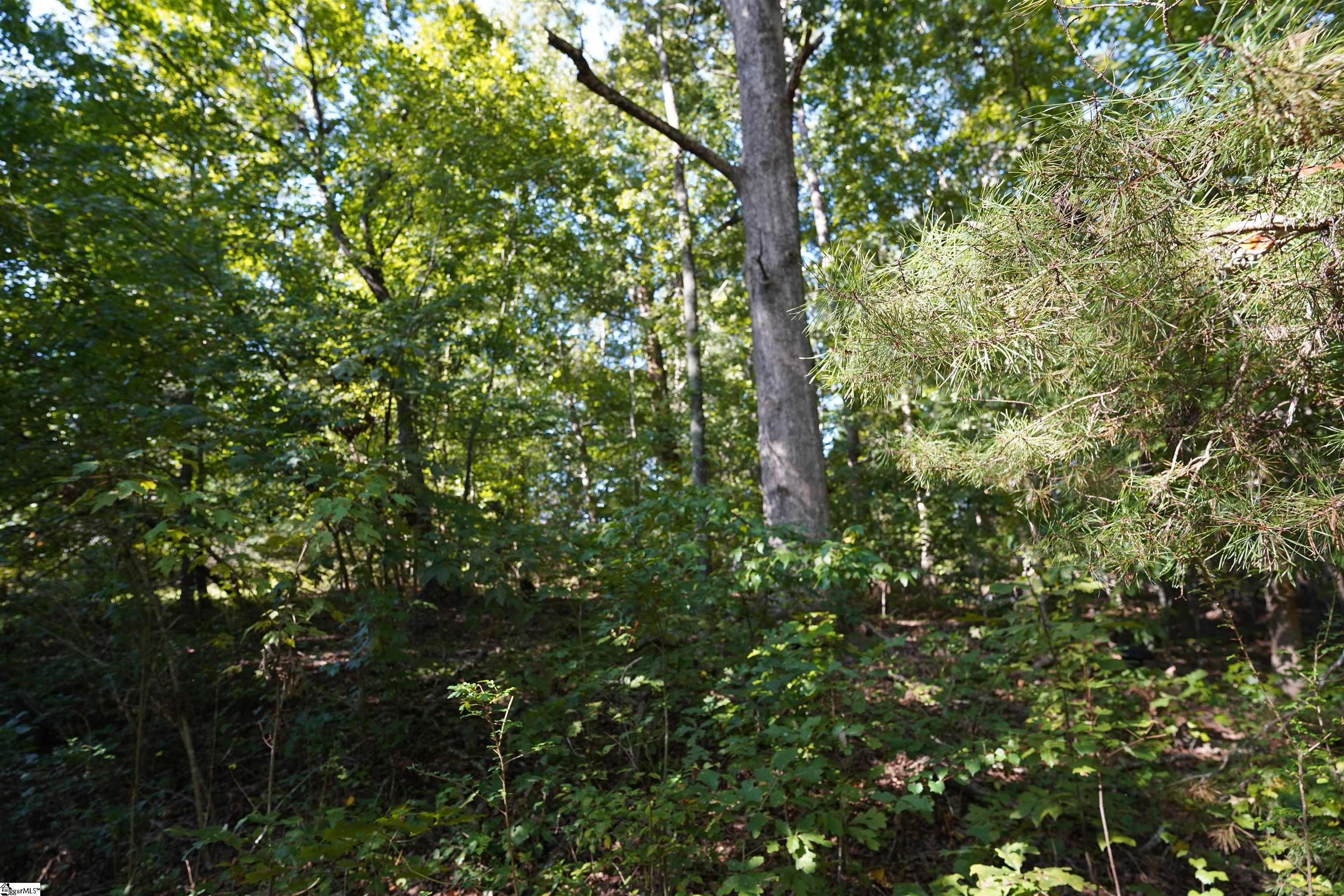 4561 Babb Road Greer, SC 29651