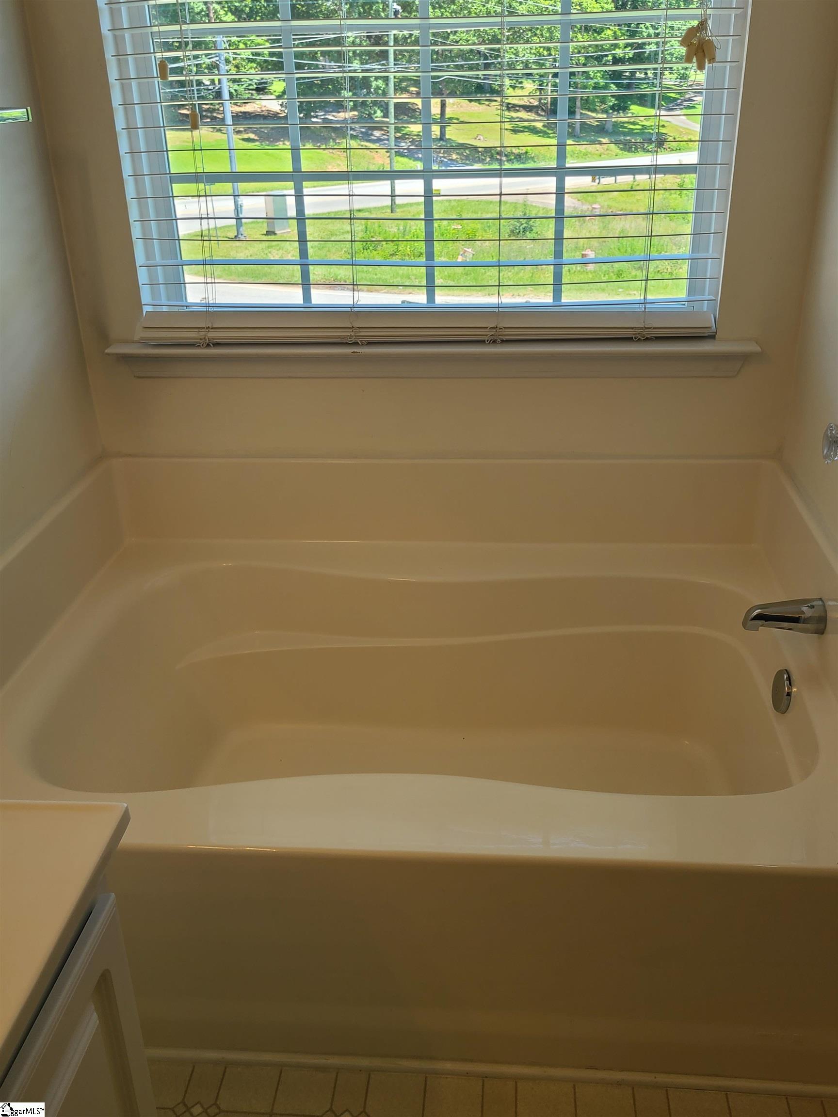 216 Clay Thorn Court Greer, SC 29651
