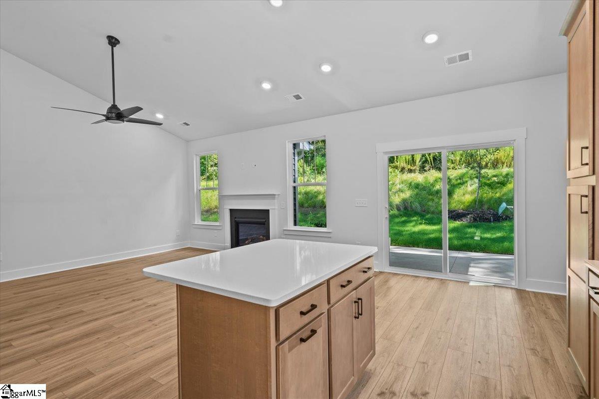 737 Old Magnolia Lane Woodruff, SC 29388