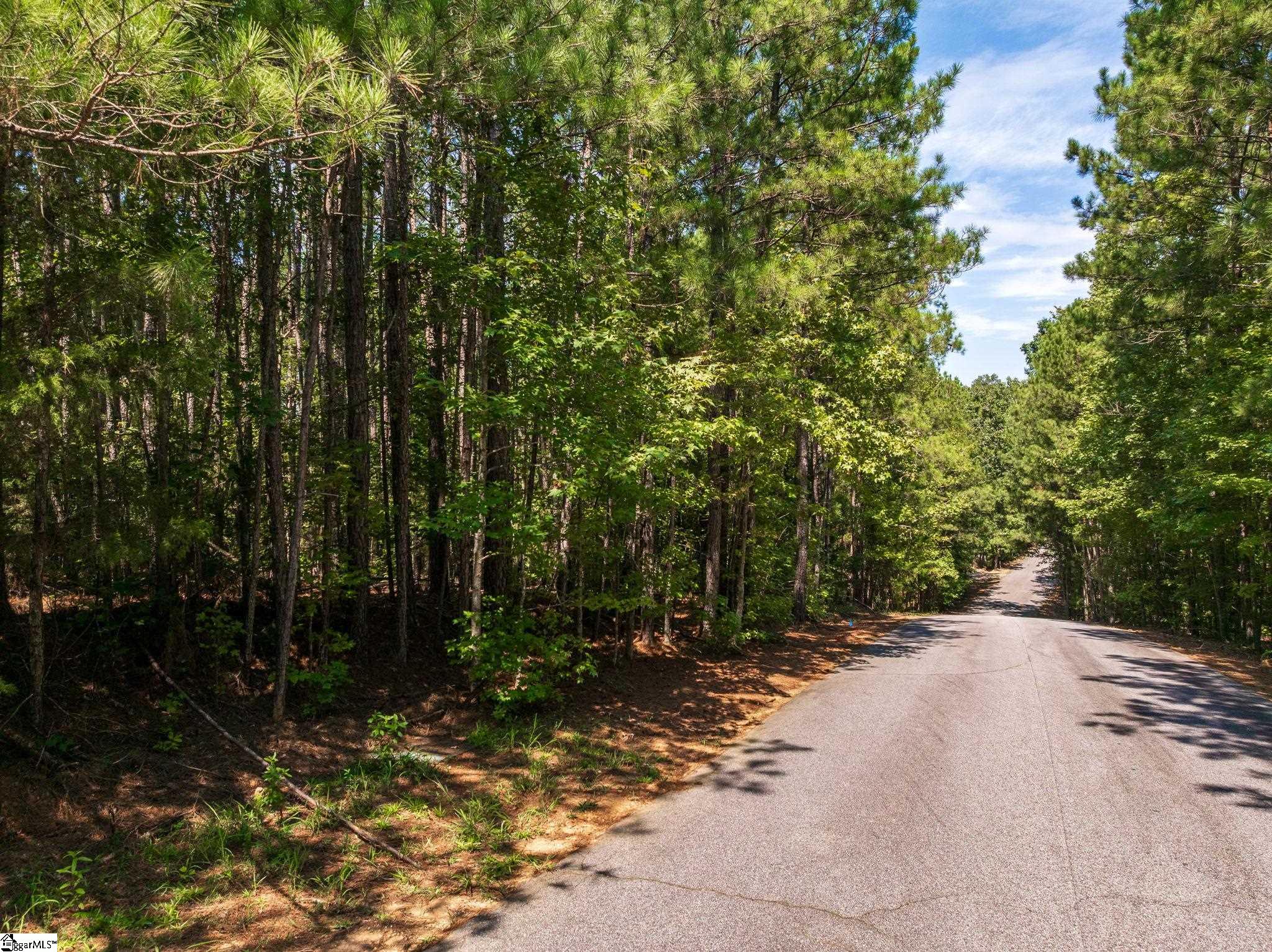00 Hidden Springs Way Cross Hill, SC 29332