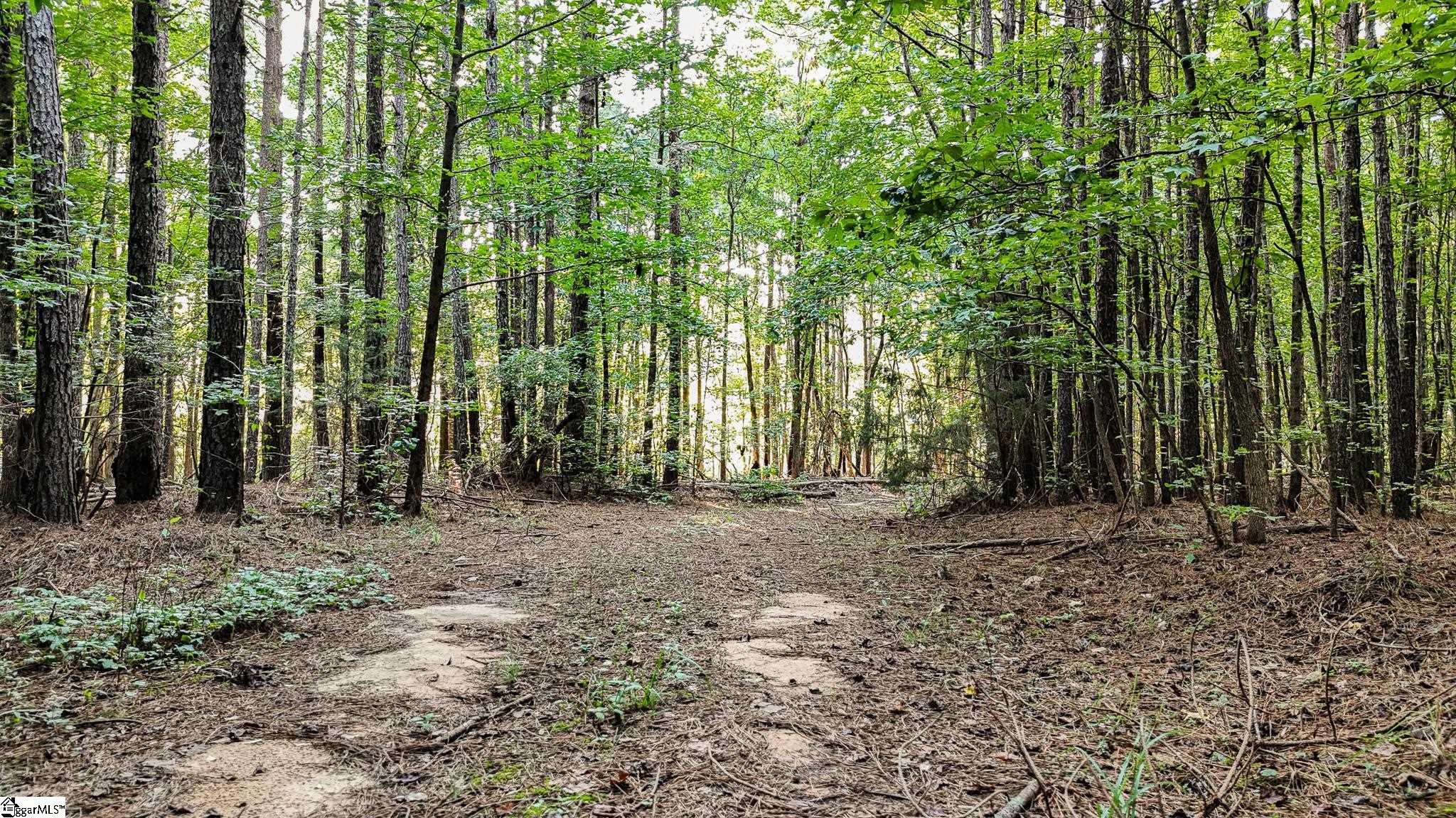 4771 Mt Bethel Garmany Road Newberry, SC 29108