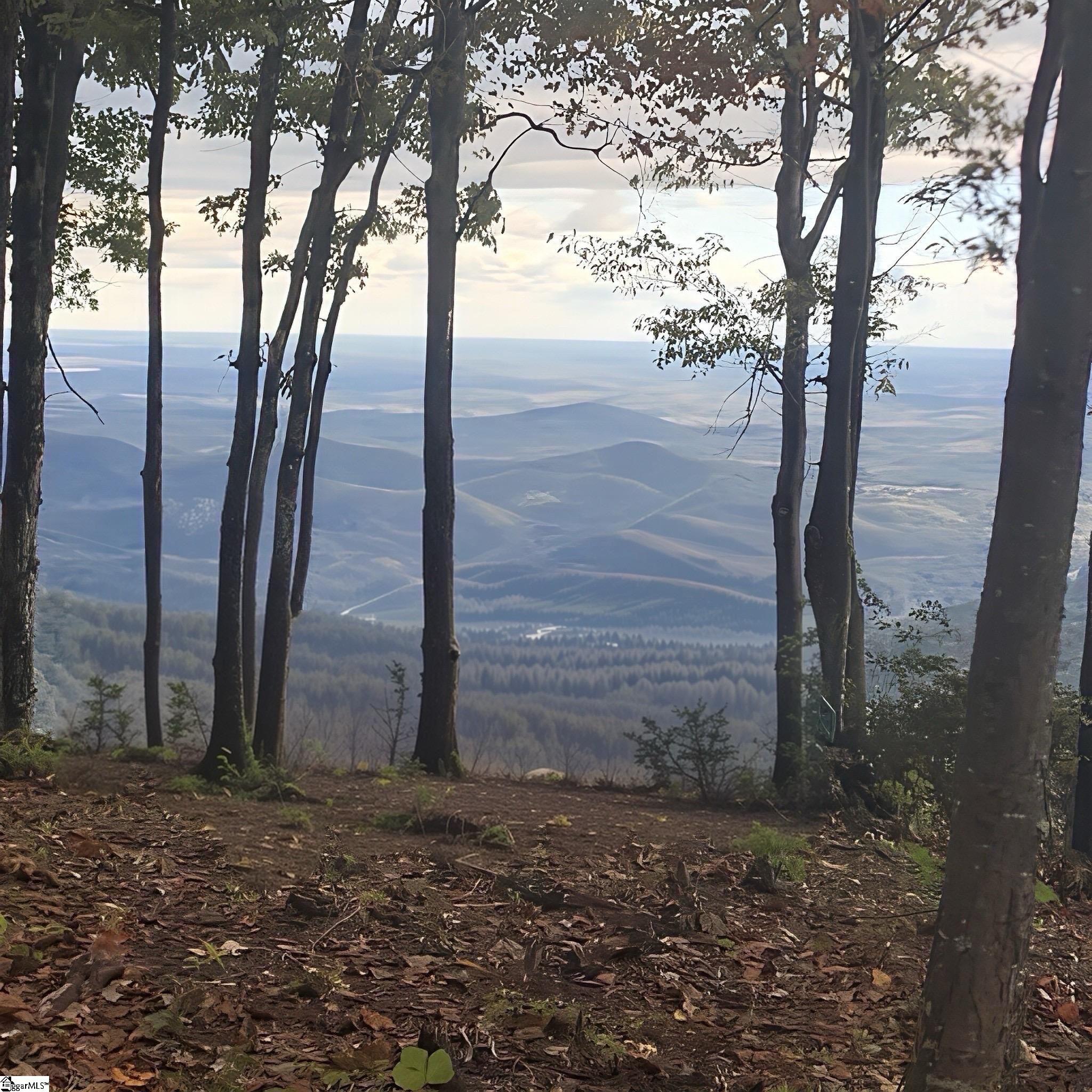 00 Mackerel Mountain Road Hendersonville, NC 28790