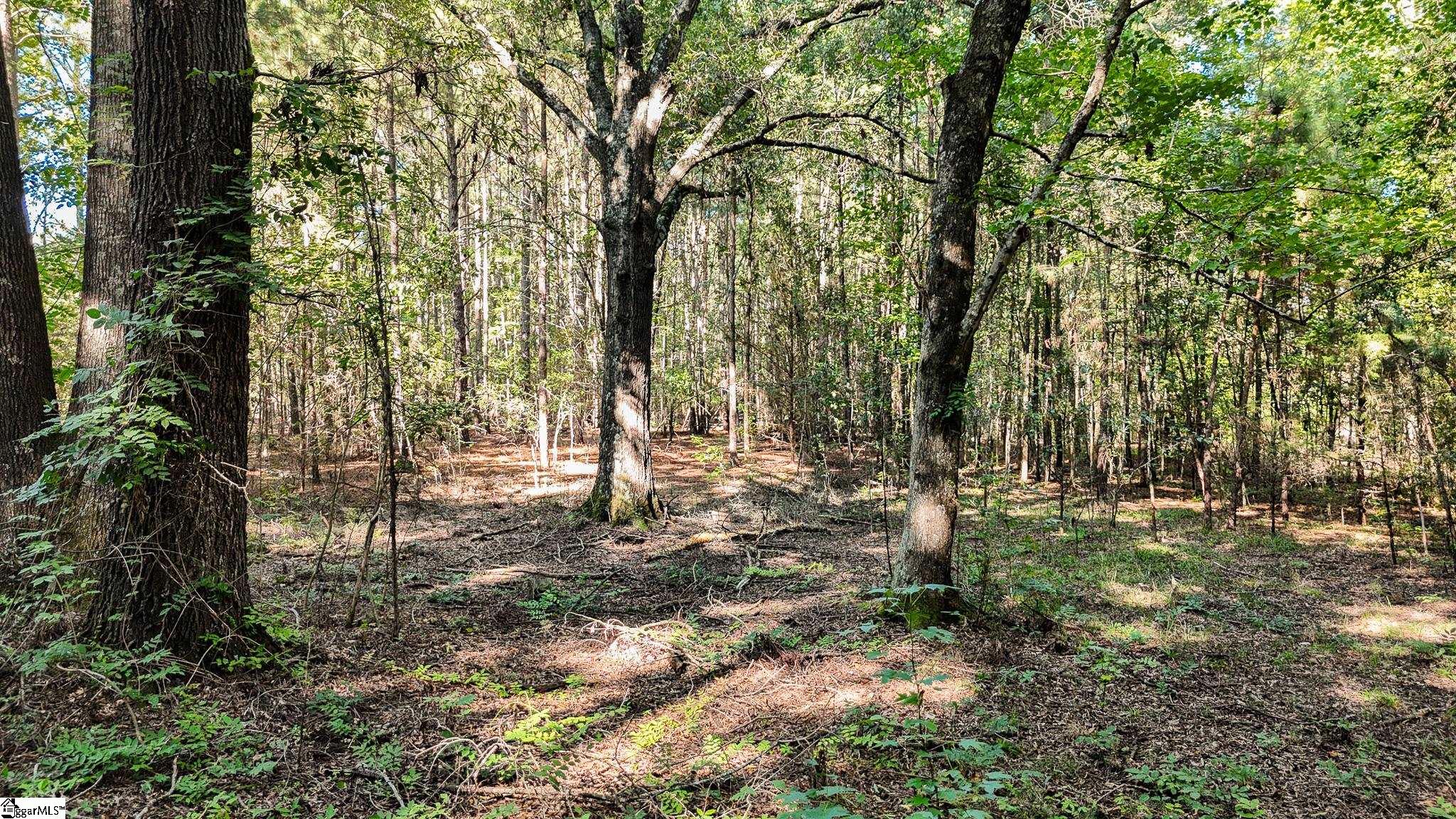 038-B Crowder Road Kinards, SC 29355