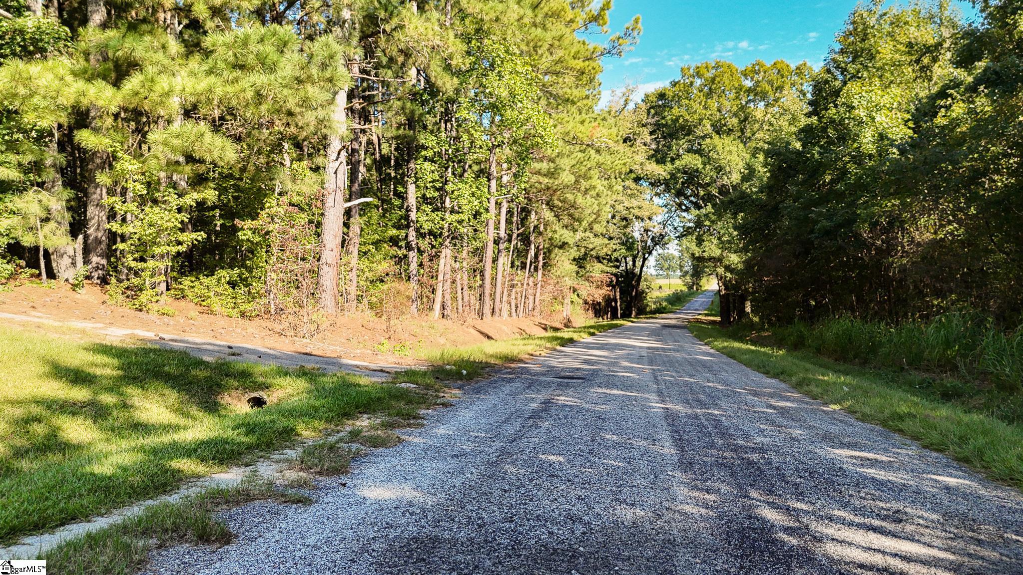 038-B Crowder Road Kinards, SC 29355