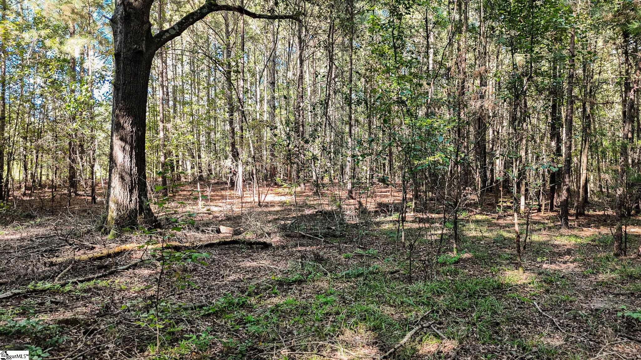 038-B Crowder Road Kinards, SC 29355