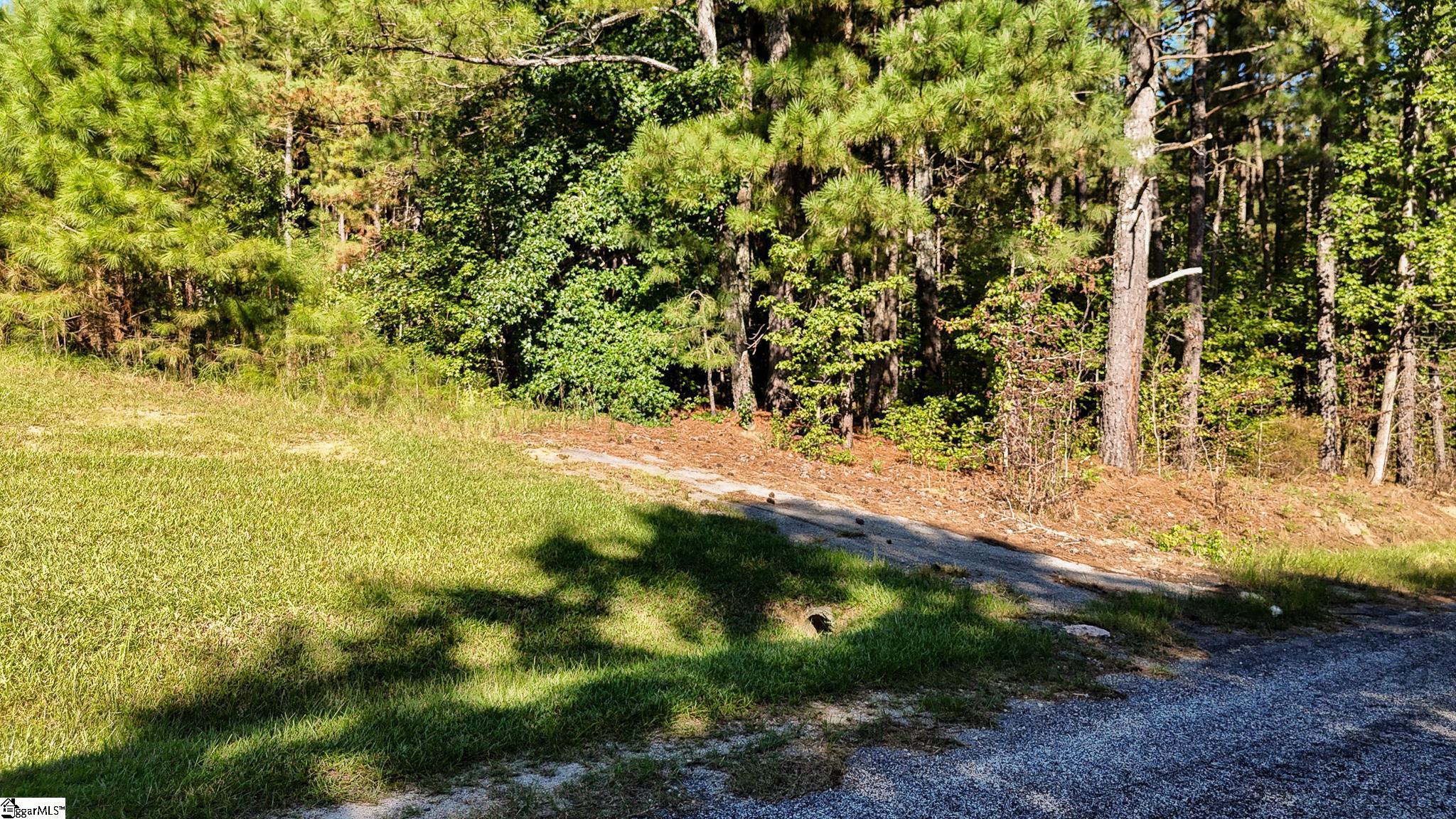 038-B Crowder Road Kinards, SC 29355