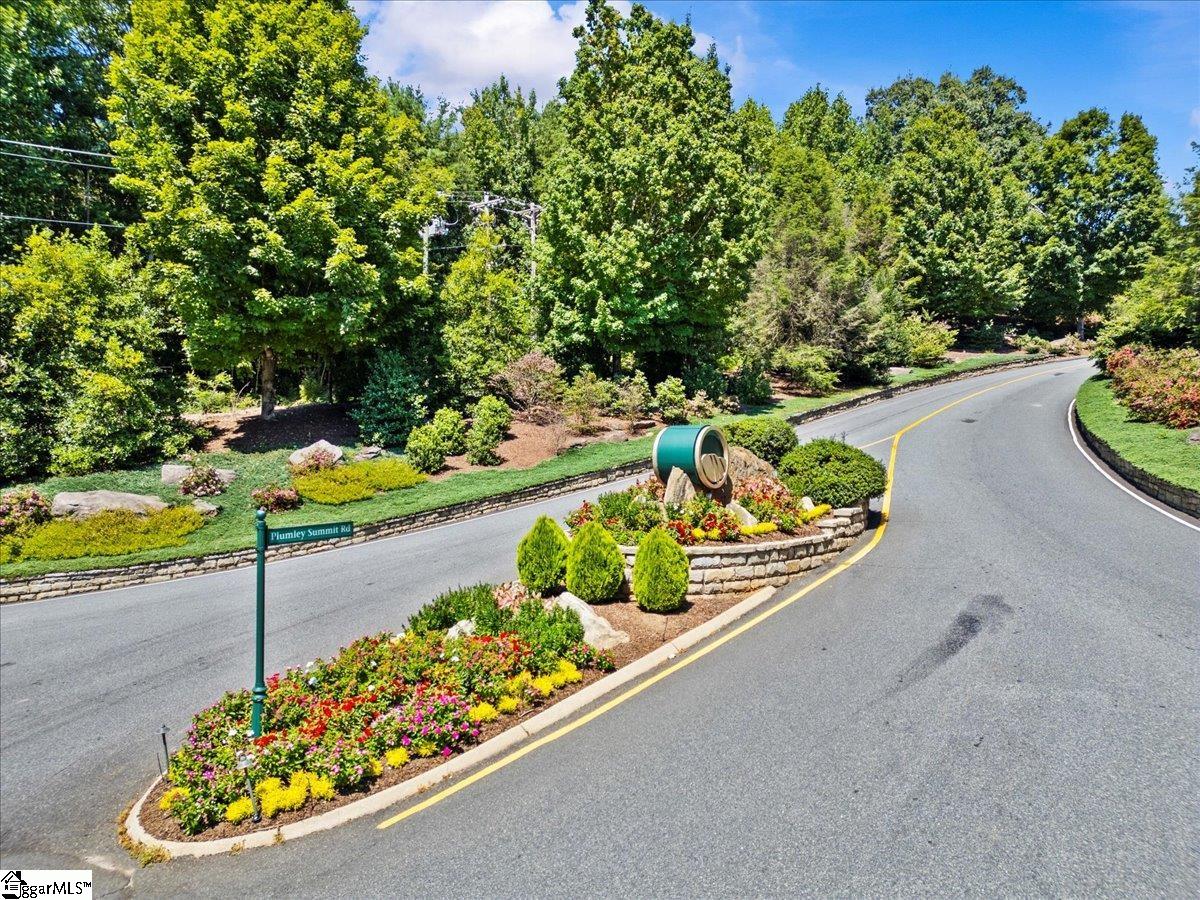 19 Grosbeak Way Landrum, SC 29356