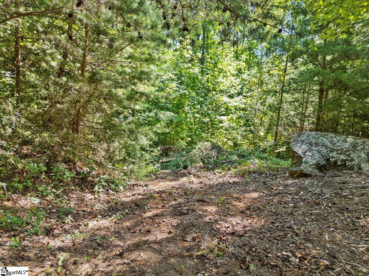 19 Grosbeak Way Landrum, SC 29356