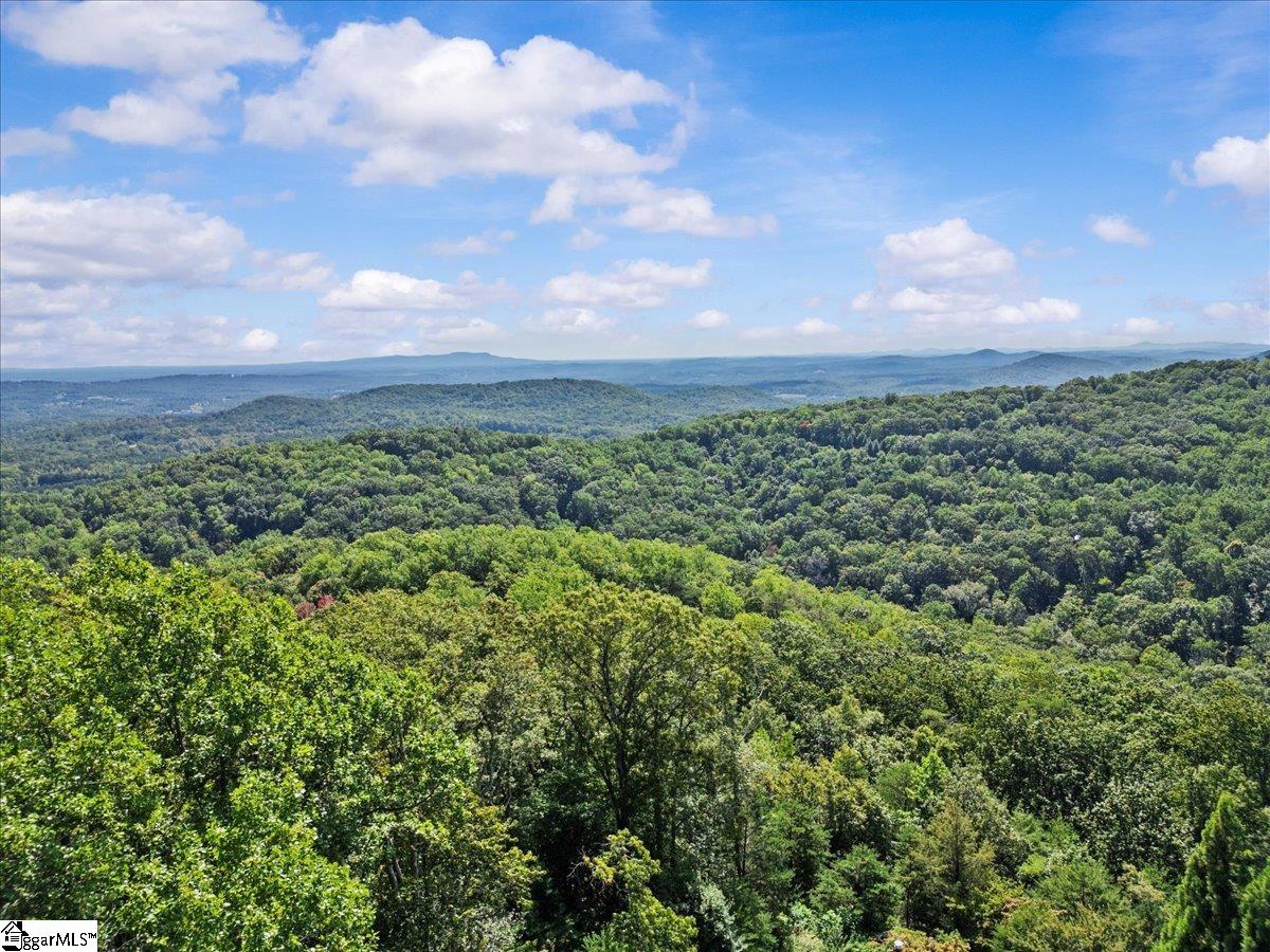 19 Grosbeak Way Landrum, SC 29356