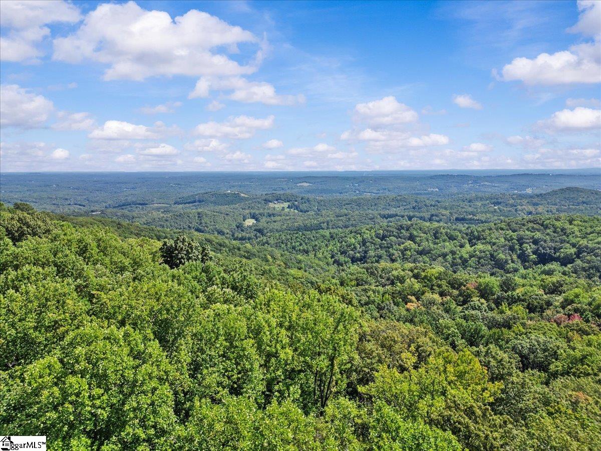 19 Grosbeak Way Landrum, SC 29356