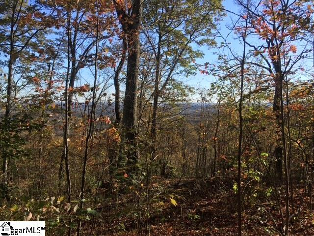19 Grosbeak Way Landrum, SC 29356