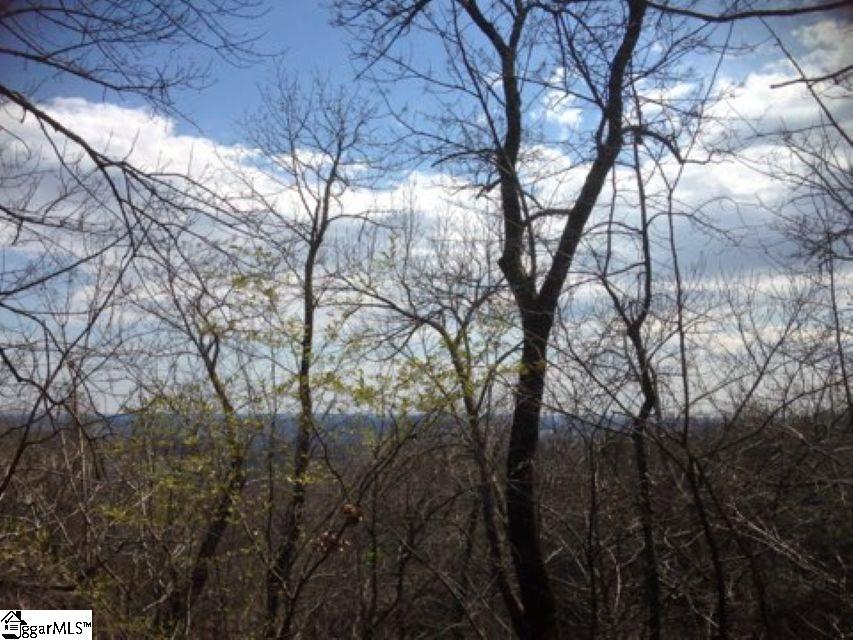 19 Grosbeak Way Landrum, SC 29356
