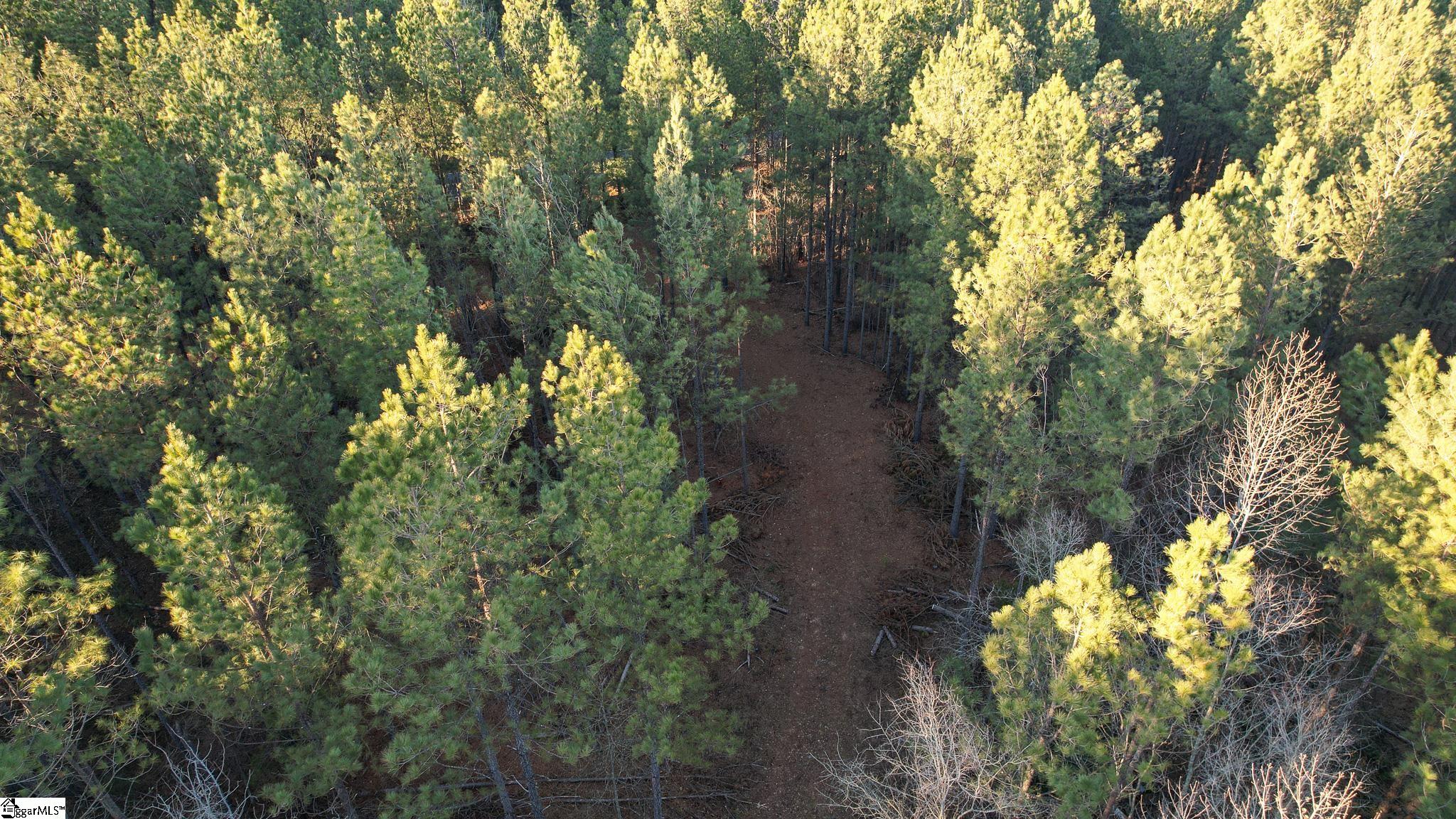 Jefferson Davis Road Mountville, SC 29370