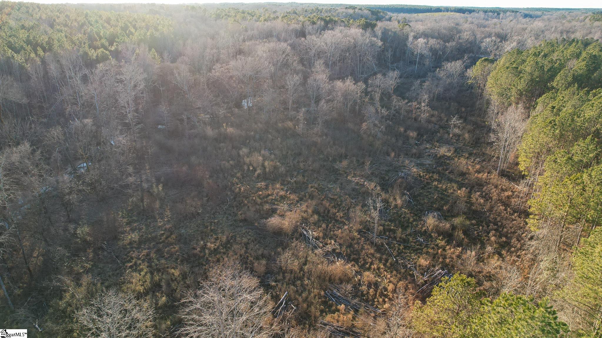Jefferson Davis Road Mountville, SC 29370
