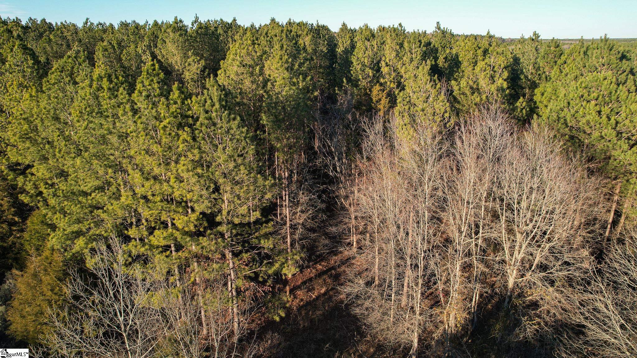 Jefferson Davis Road Mountville, SC 29370