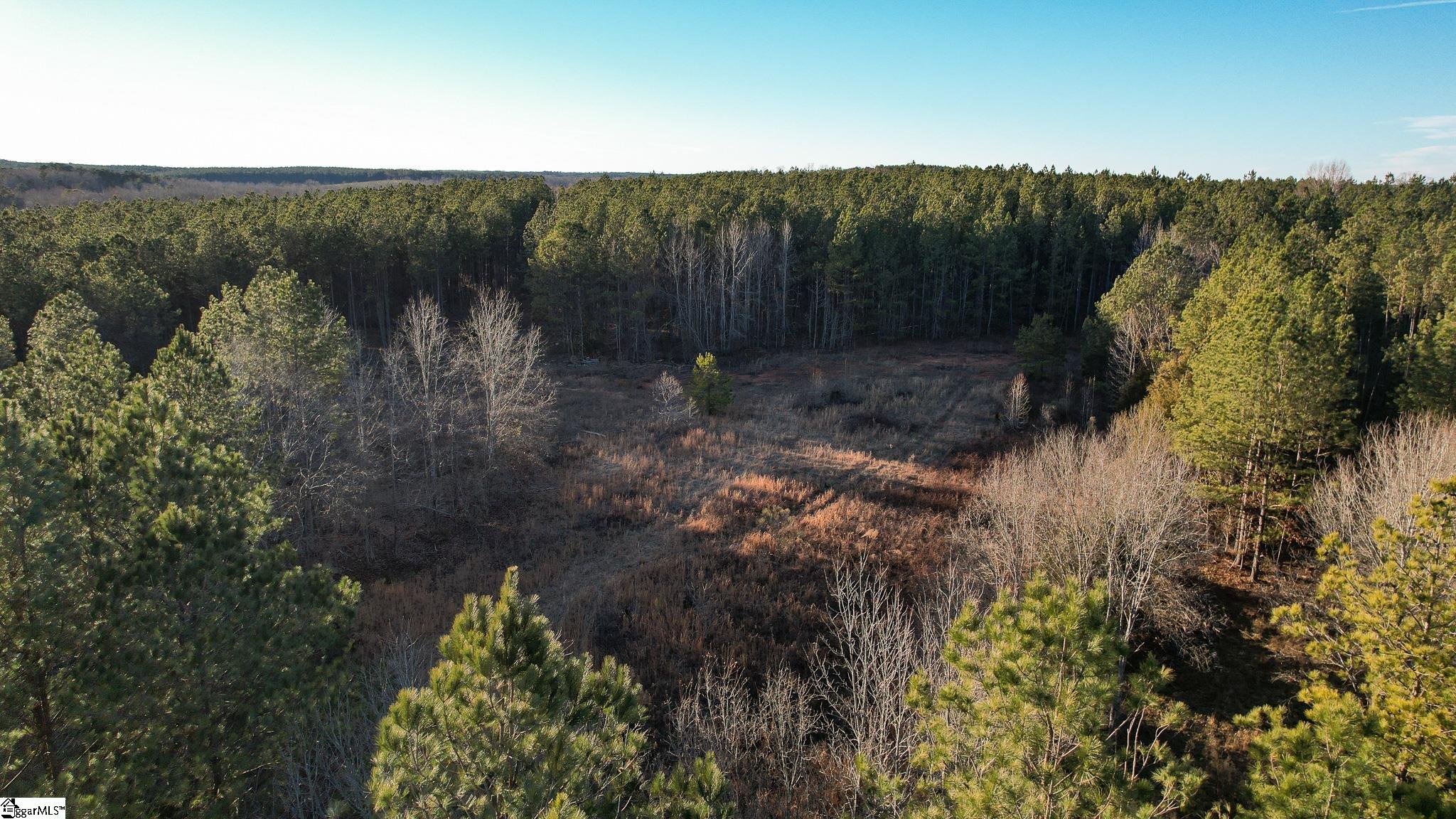 Jefferson Davis Road Mountville, SC 29370