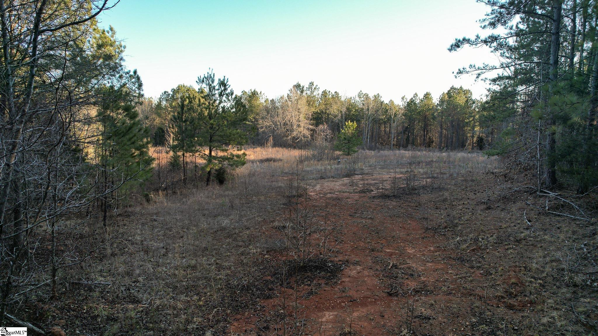Jefferson Davis Road Mountville, SC 29370
