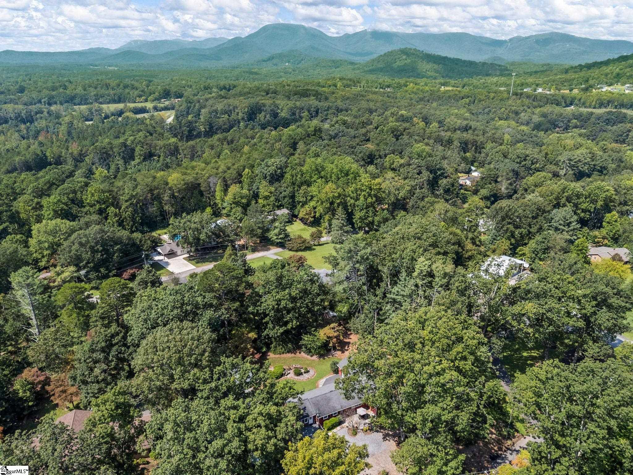 233 W Durham Street Landrum, SC 29356