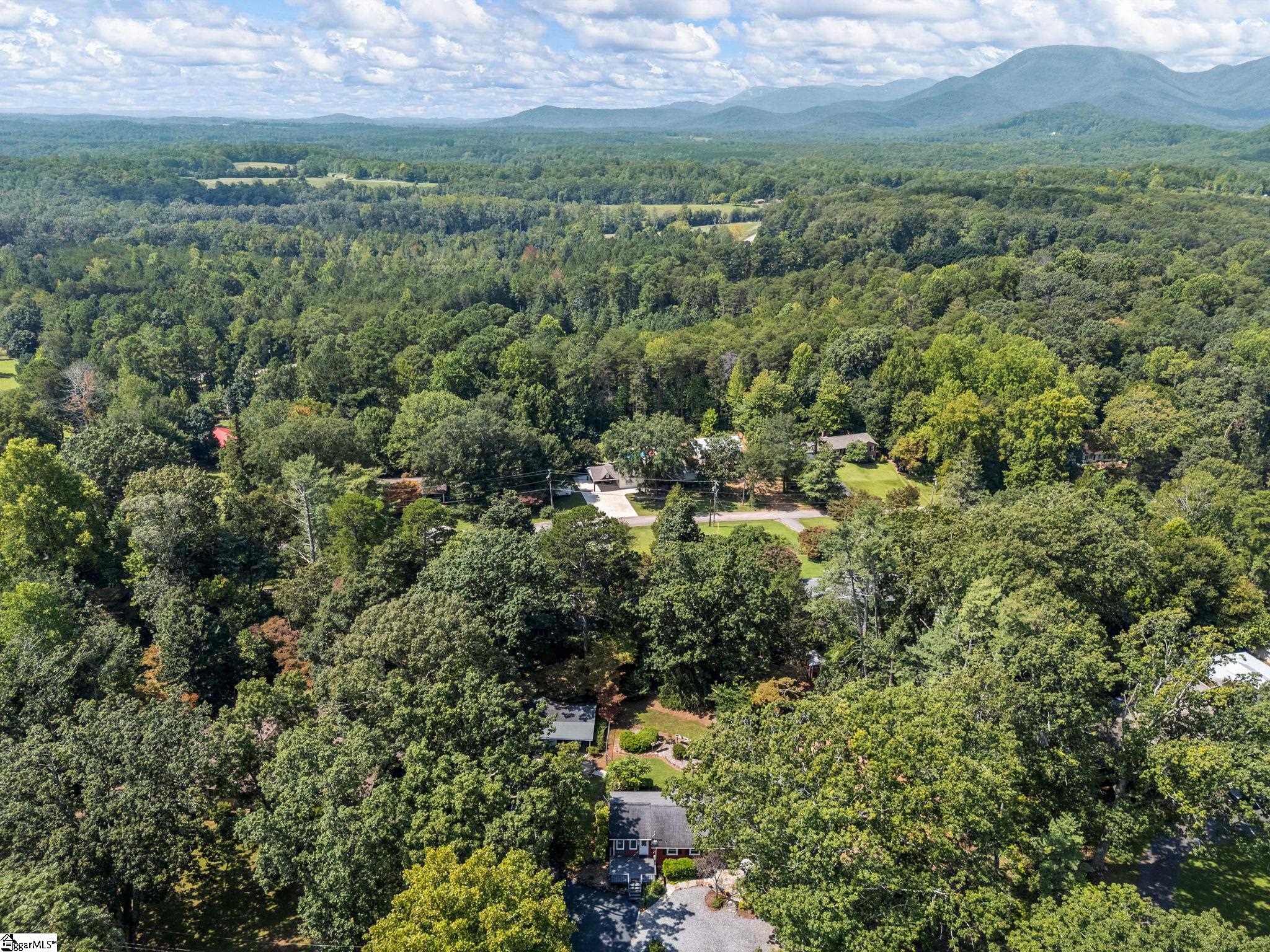 233 W Durham Street Landrum, SC 29356