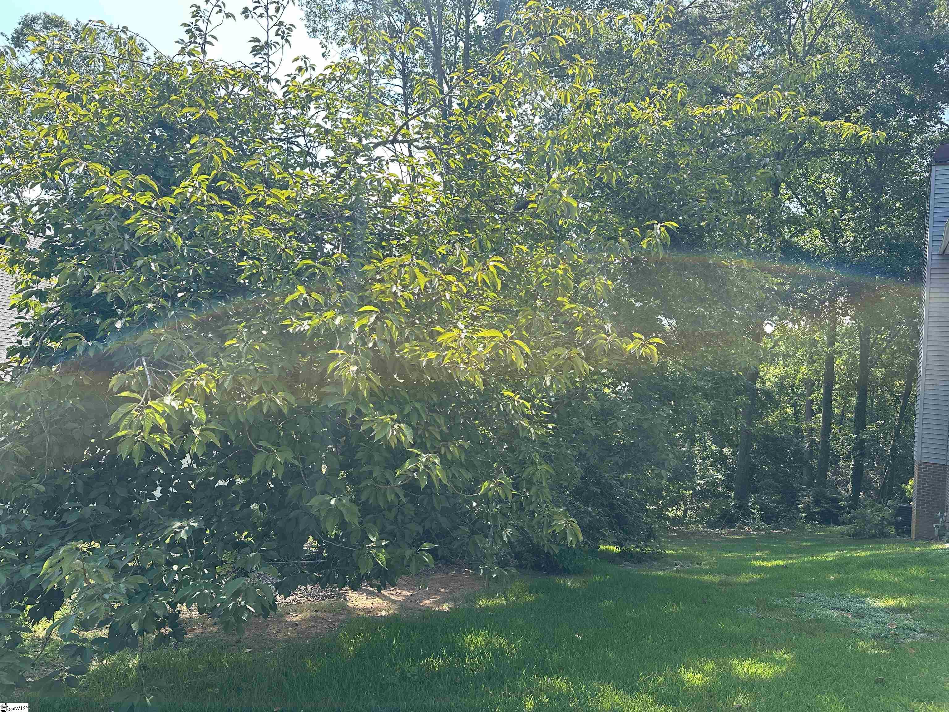 106 Clearmont Court Easley, SC 29642