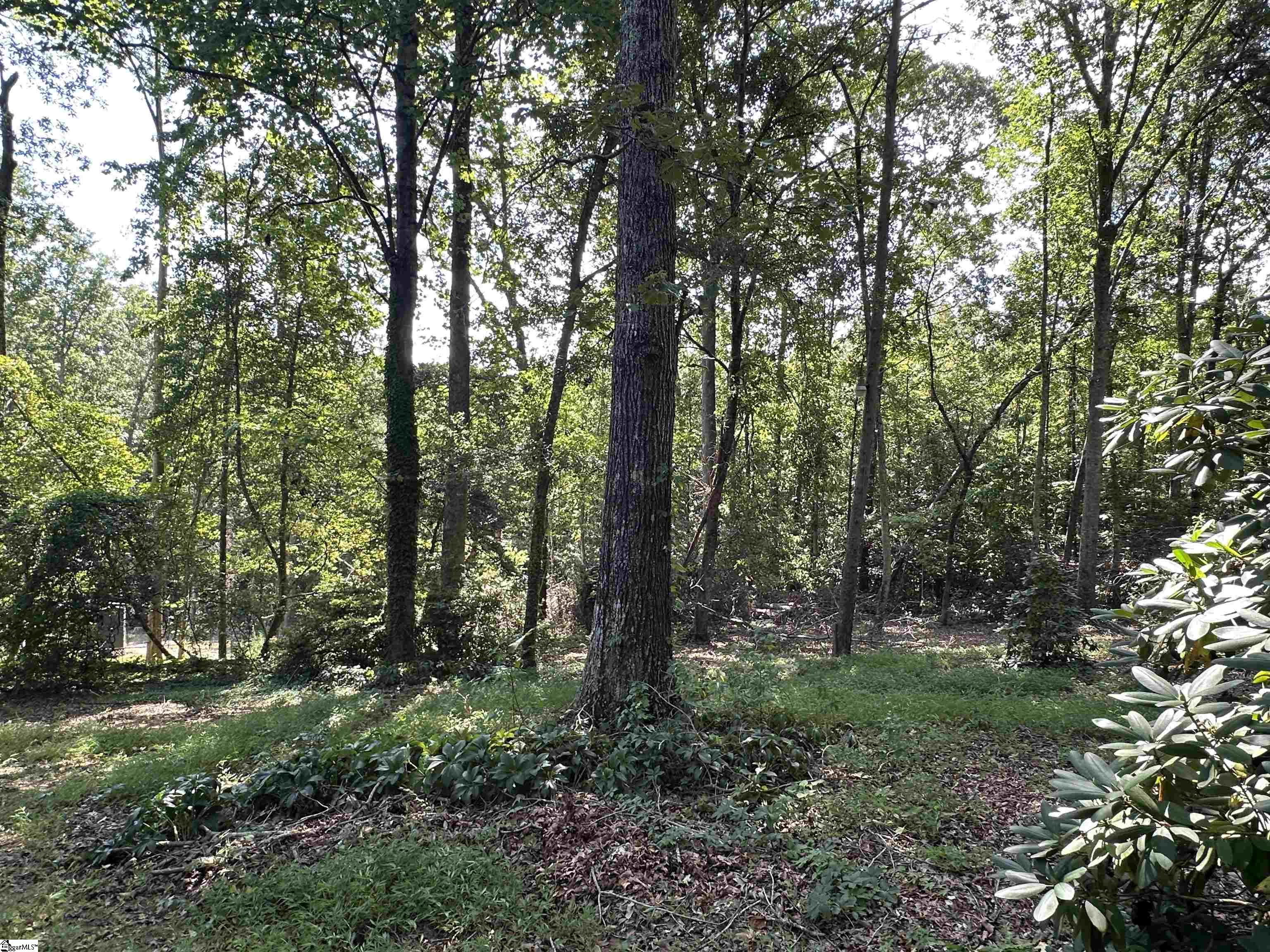 106 Clearmont Court Easley, SC 29642