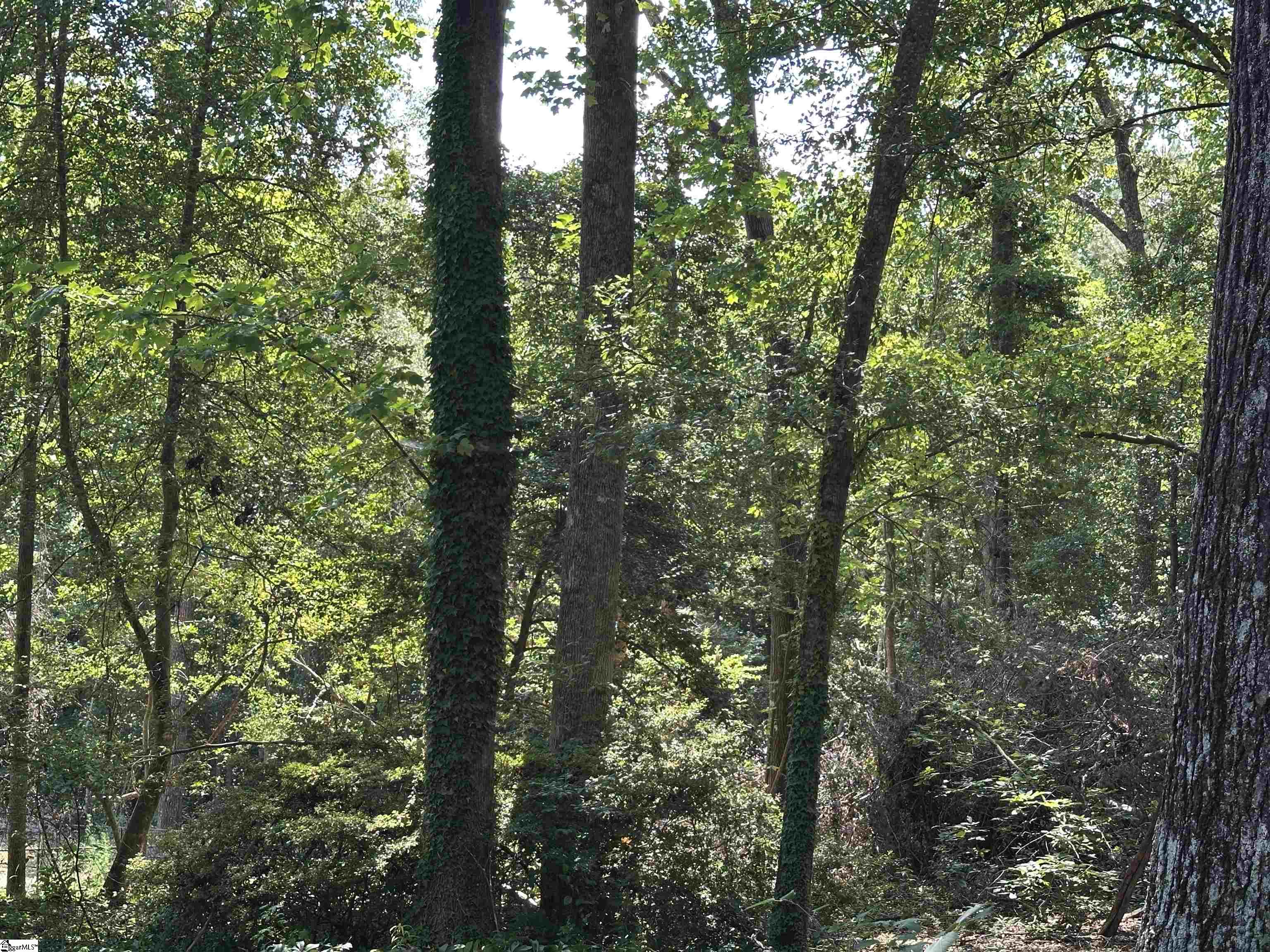 106 Clearmont Court Easley, SC 29642
