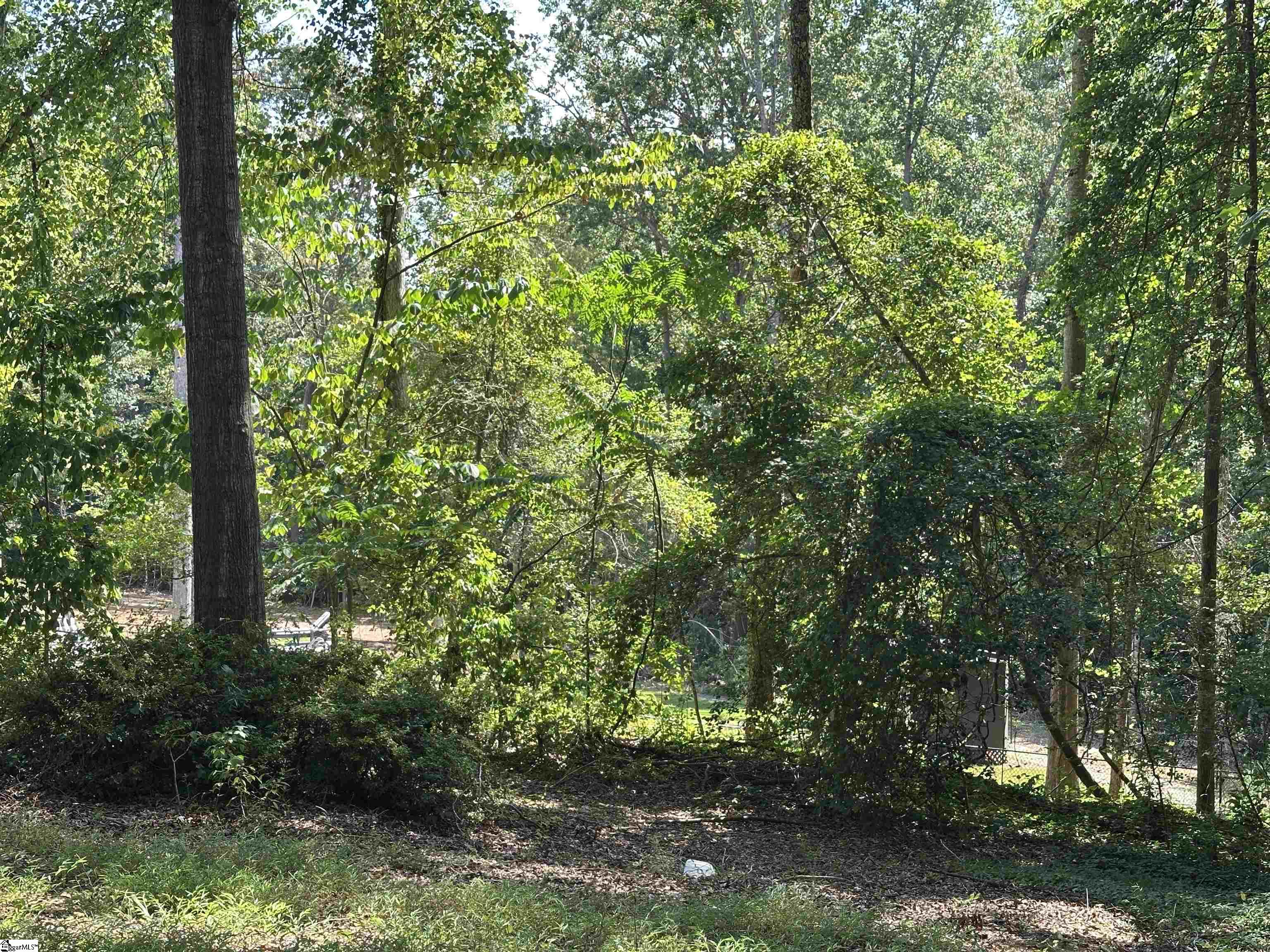 106 Clearmont Court Easley, SC 29642