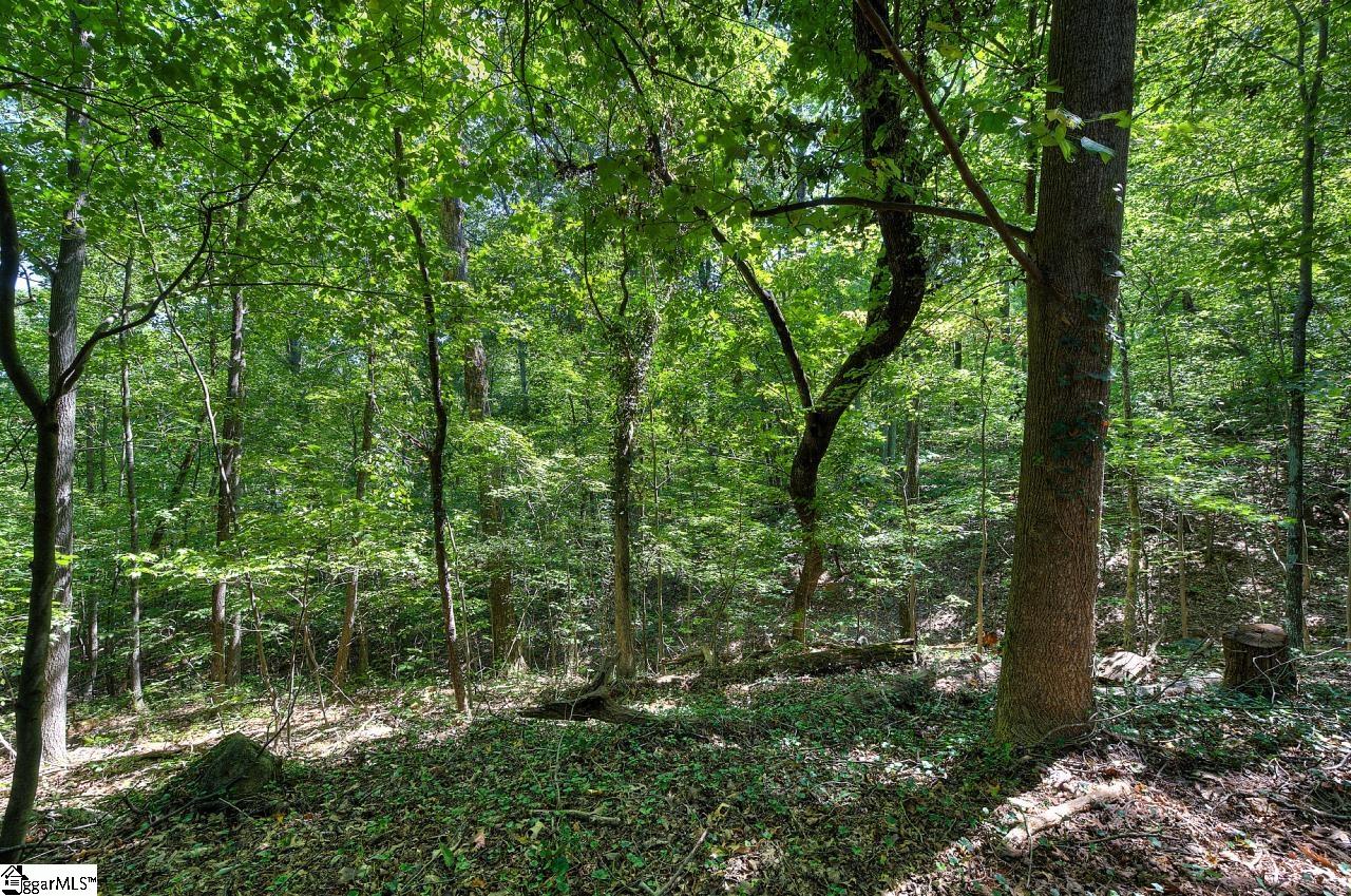 14 Flicker Drive Greenville, SC 29609
