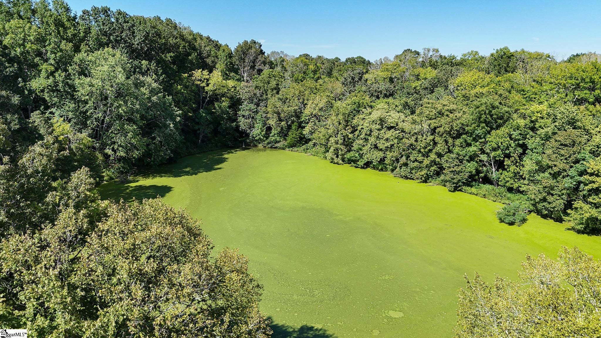 044 Hobby Lane Kinards, SC 29355