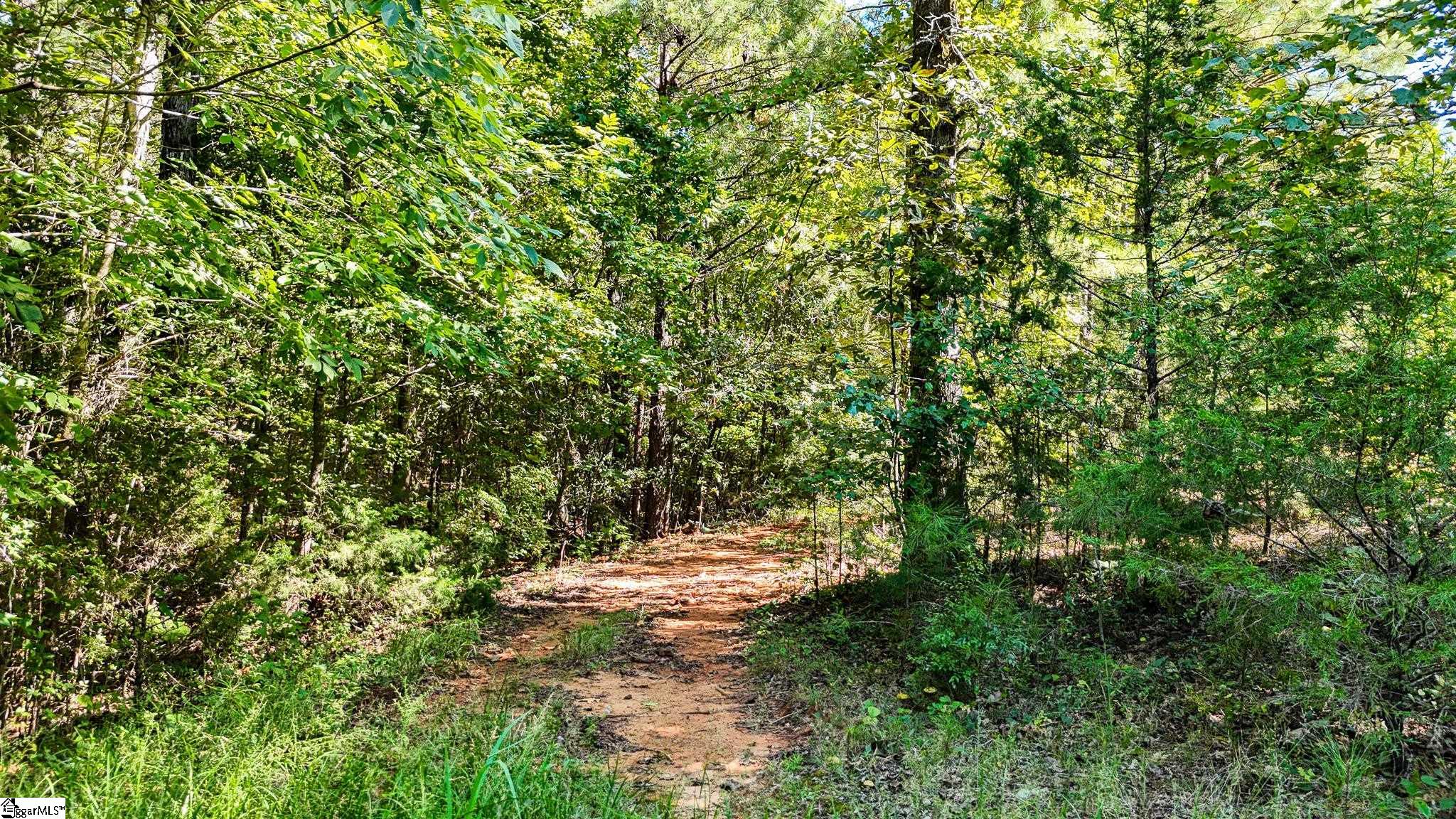 044 Hobby Lane Kinards, SC 29355