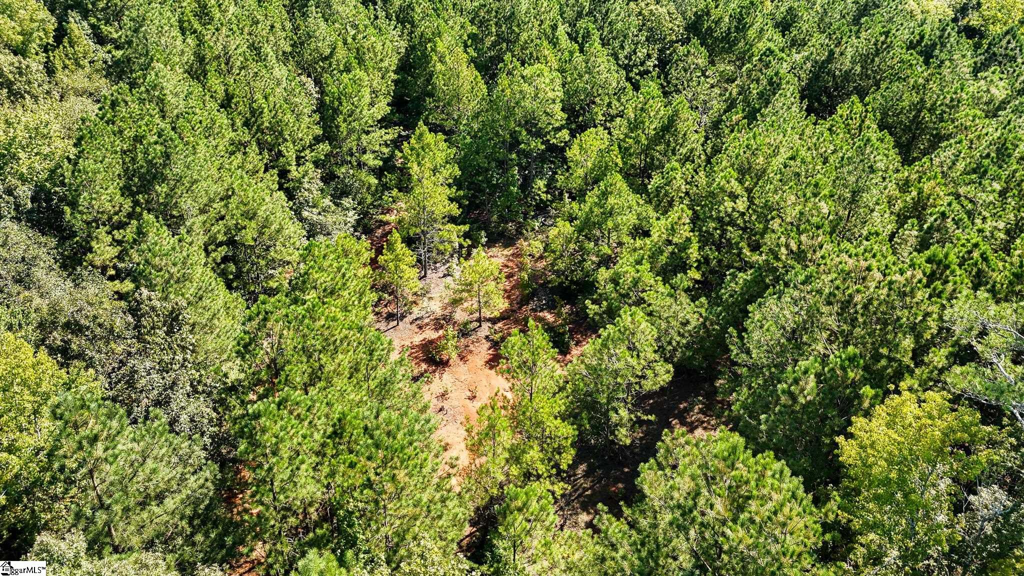 044 Hobby Lane Kinards, SC 29355