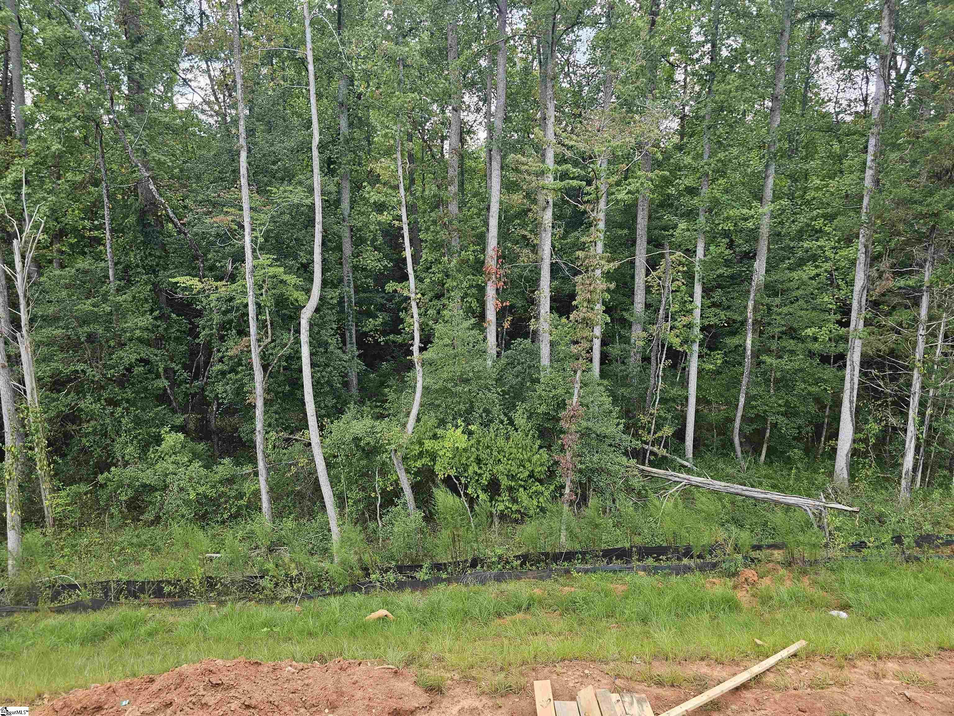 206 Jacqueline Road UNIT Lot 34 Piedmont, SC 29673
