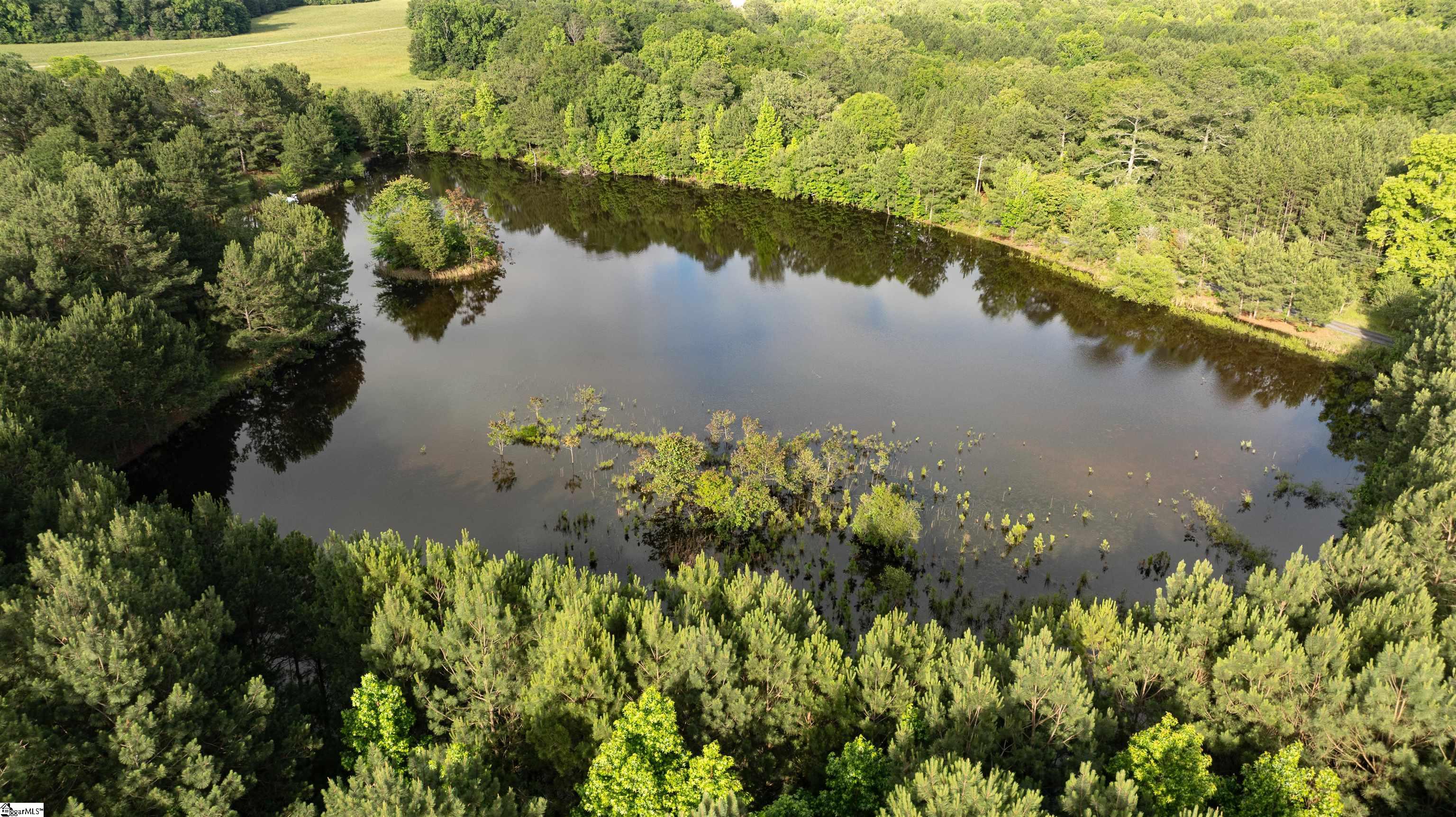 038 Crowder Road Kinards, SC 29355