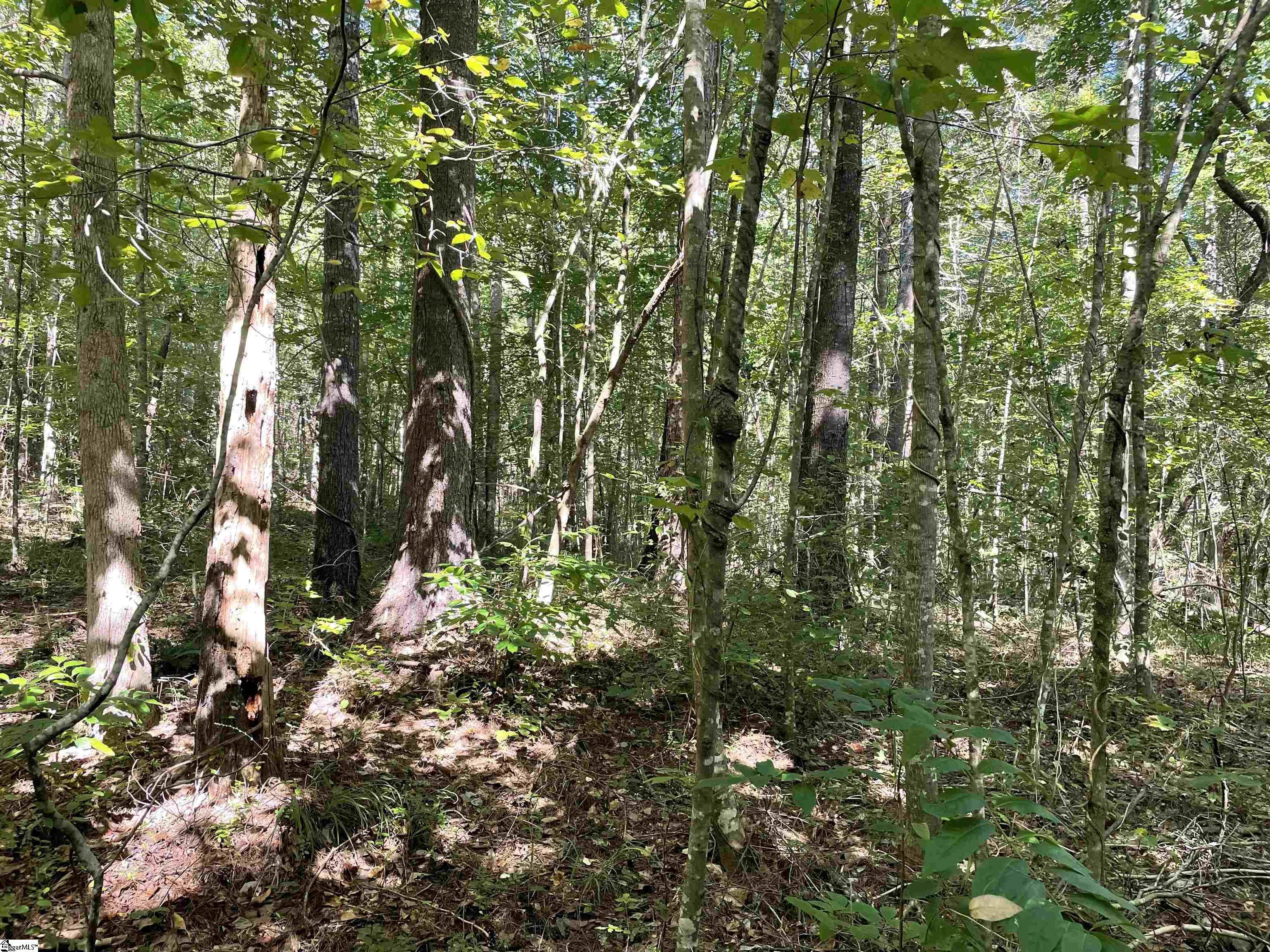 111 Chauga Shoals Drive Westminster, SC 29693