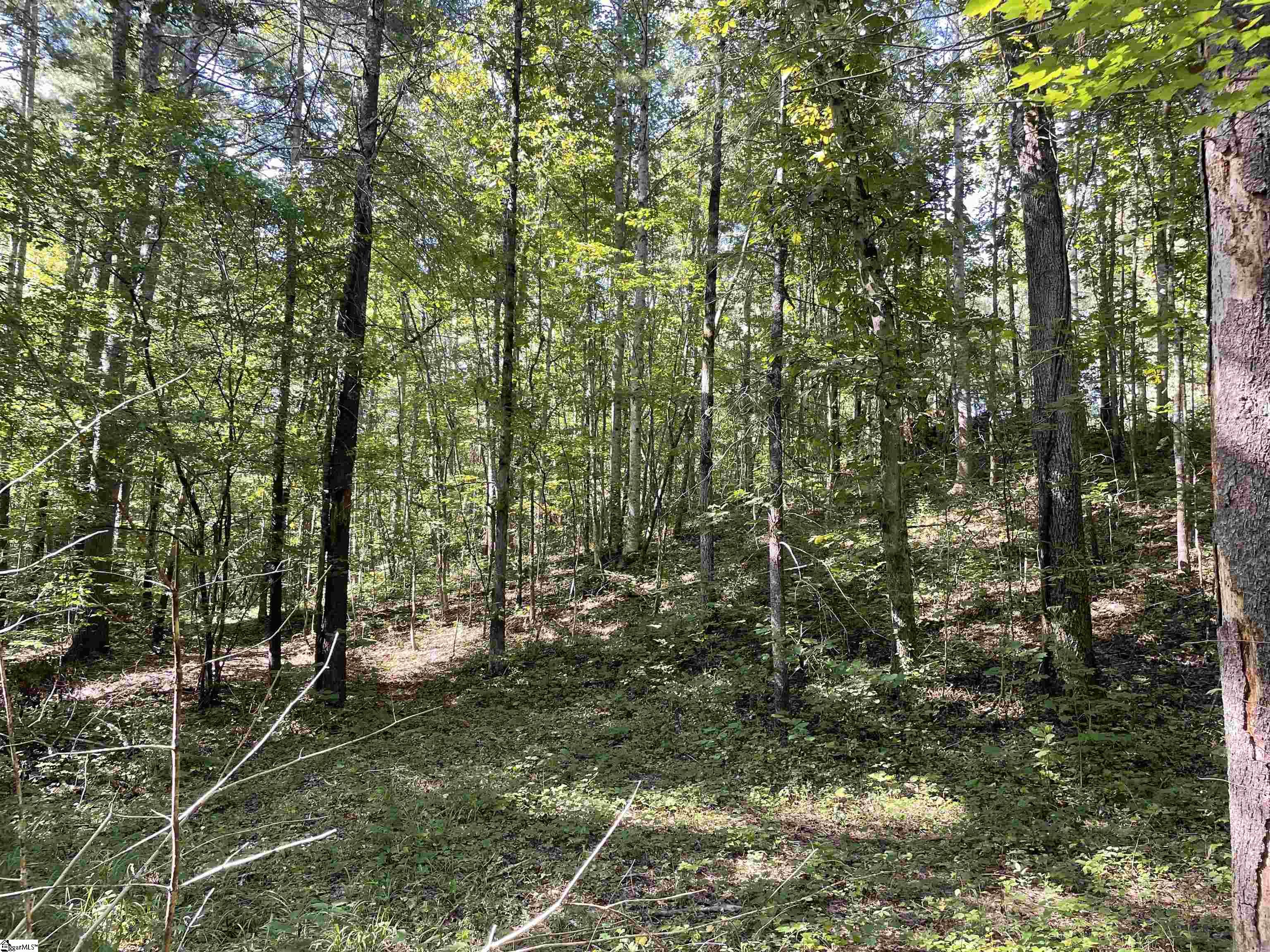 111 Chauga Shoals Drive Westminster, SC 29693