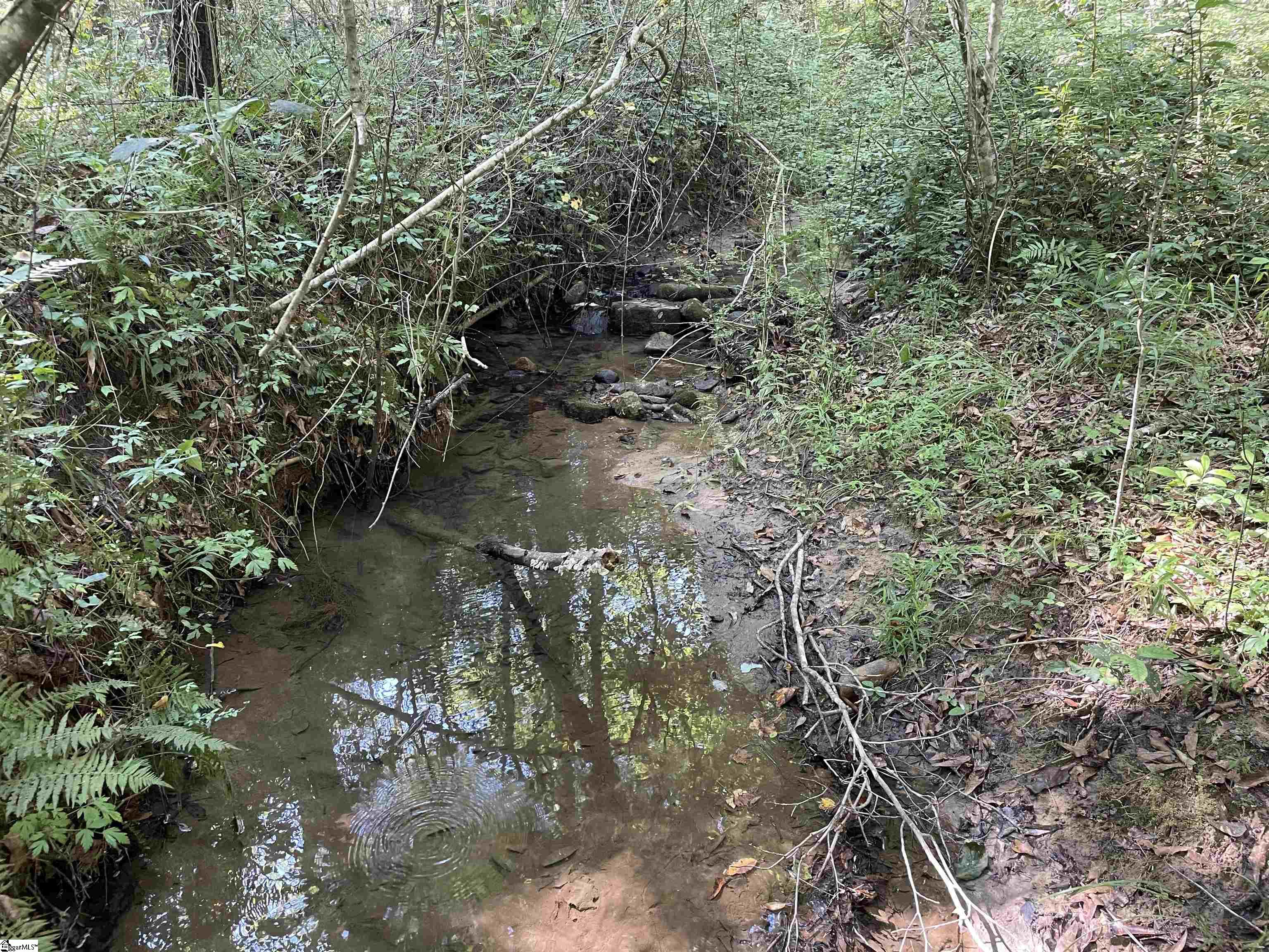 111 Chauga Shoals Drive Westminster, SC 29693