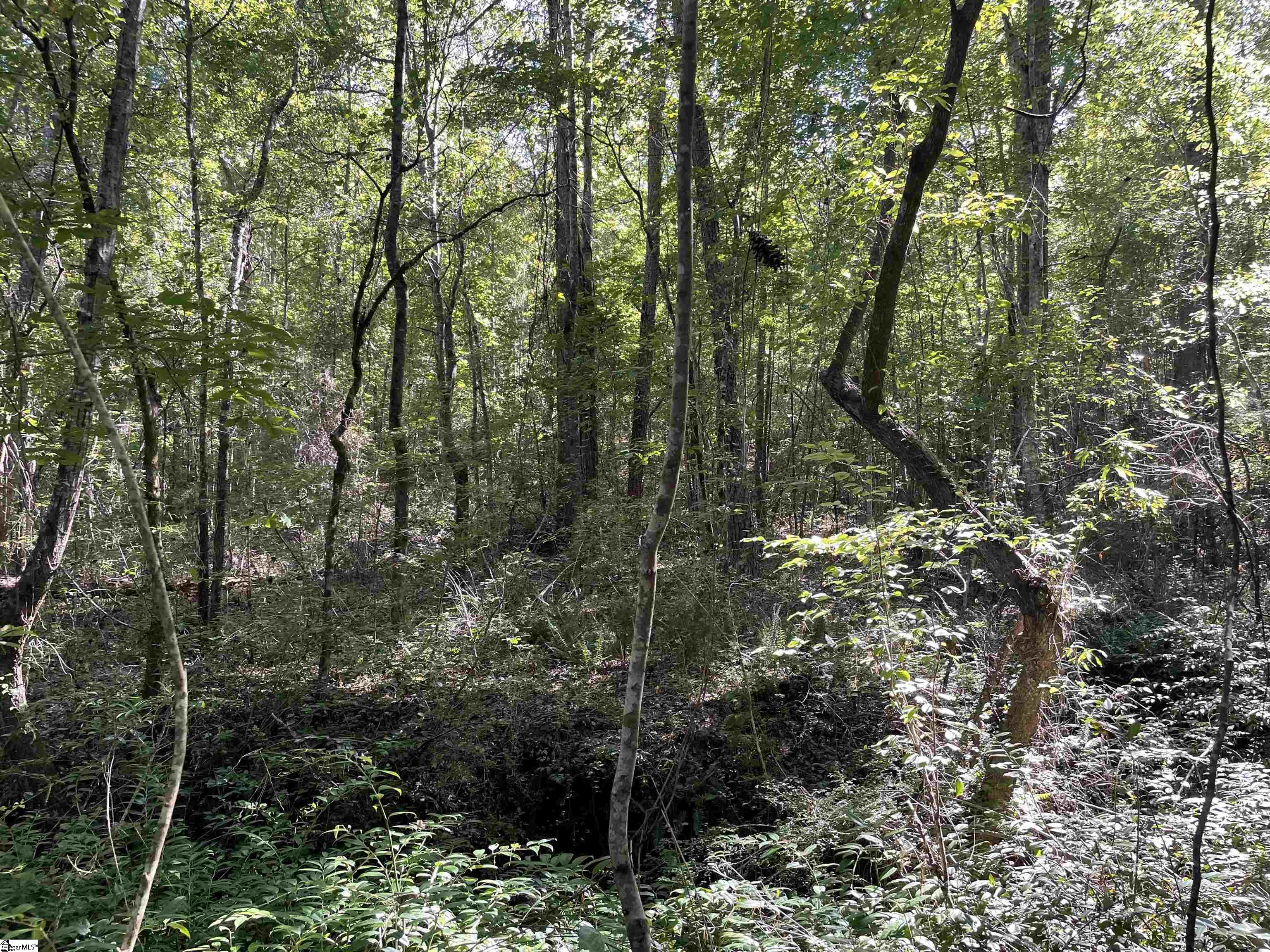 111 Chauga Shoals Drive Westminster, SC 29693