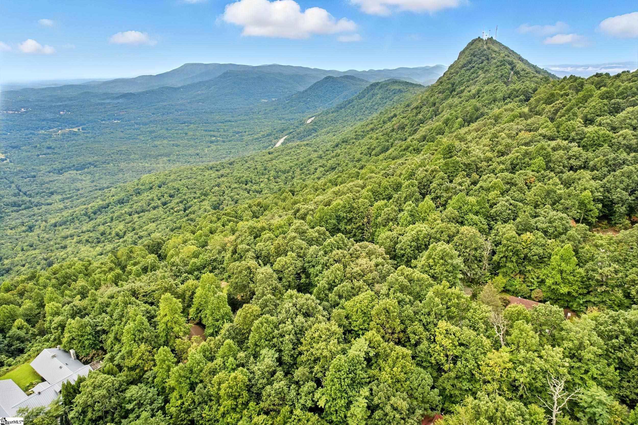 3605 Skyuka Mountain Road Columbus, NC 28722