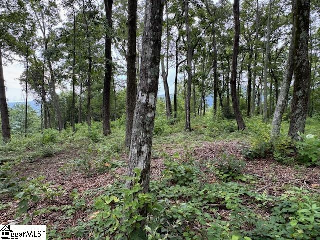 1534 Panther Park Trail Travelers Rest, SC 29690