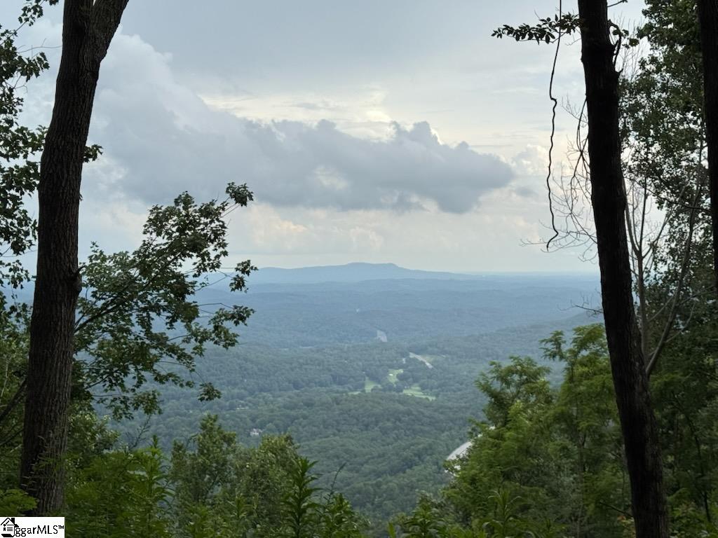 1531 Panther Park Trail Travelers Rest, SC 29690