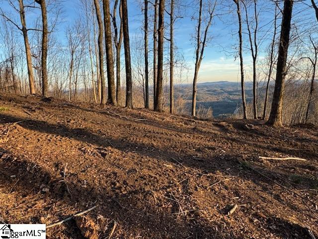 1531 Panther Park Trail Travelers Rest, SC 29690