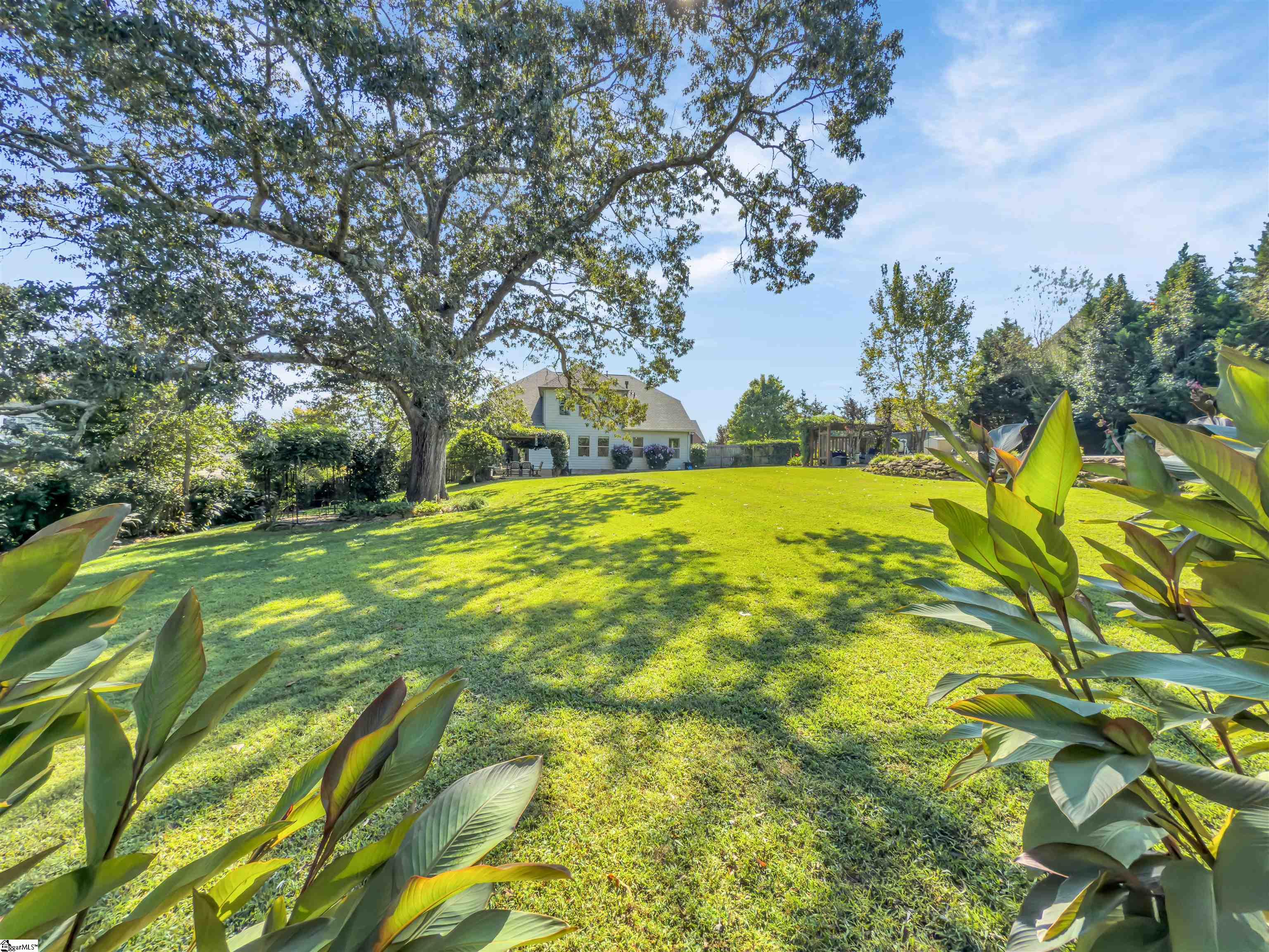 49 Scotts Bluff Drive Simpsonville, SC 29681