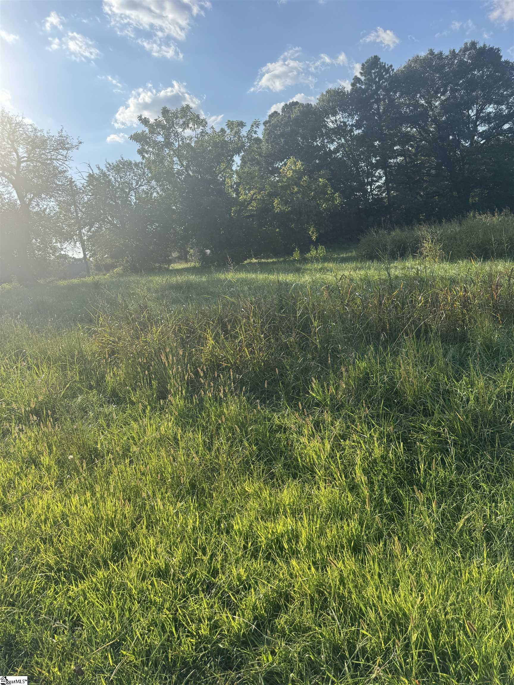 101 Windfield Hill Road Williamston, SC 29697