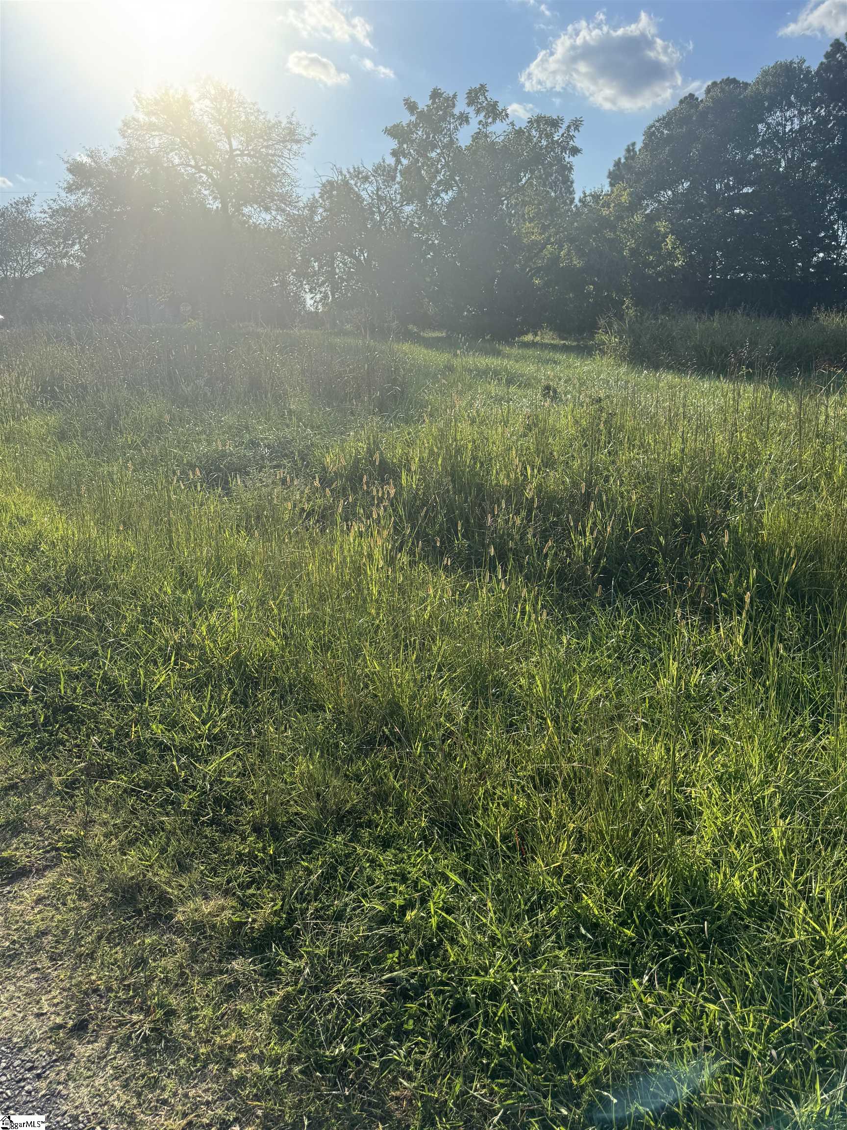 101 Windfield Hill Road Williamston, SC 29697