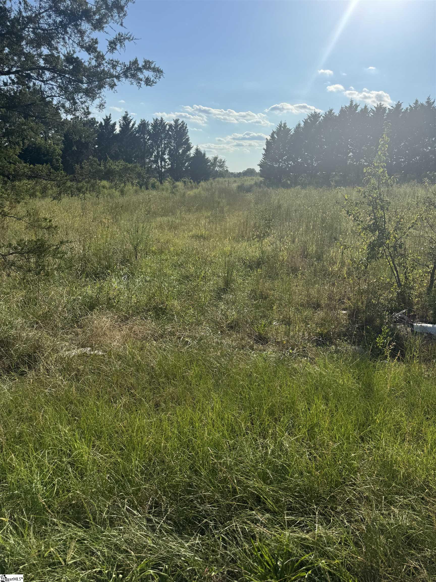 46 Lester Road Williamston, SC 29697